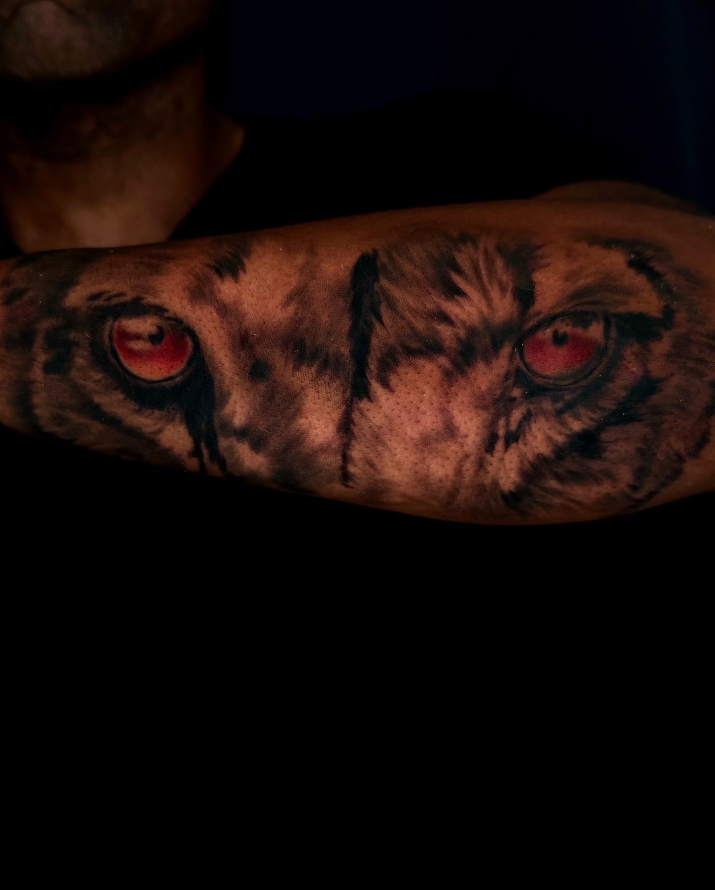 Owl realism tattoo on the forearm by Tattoo Artist