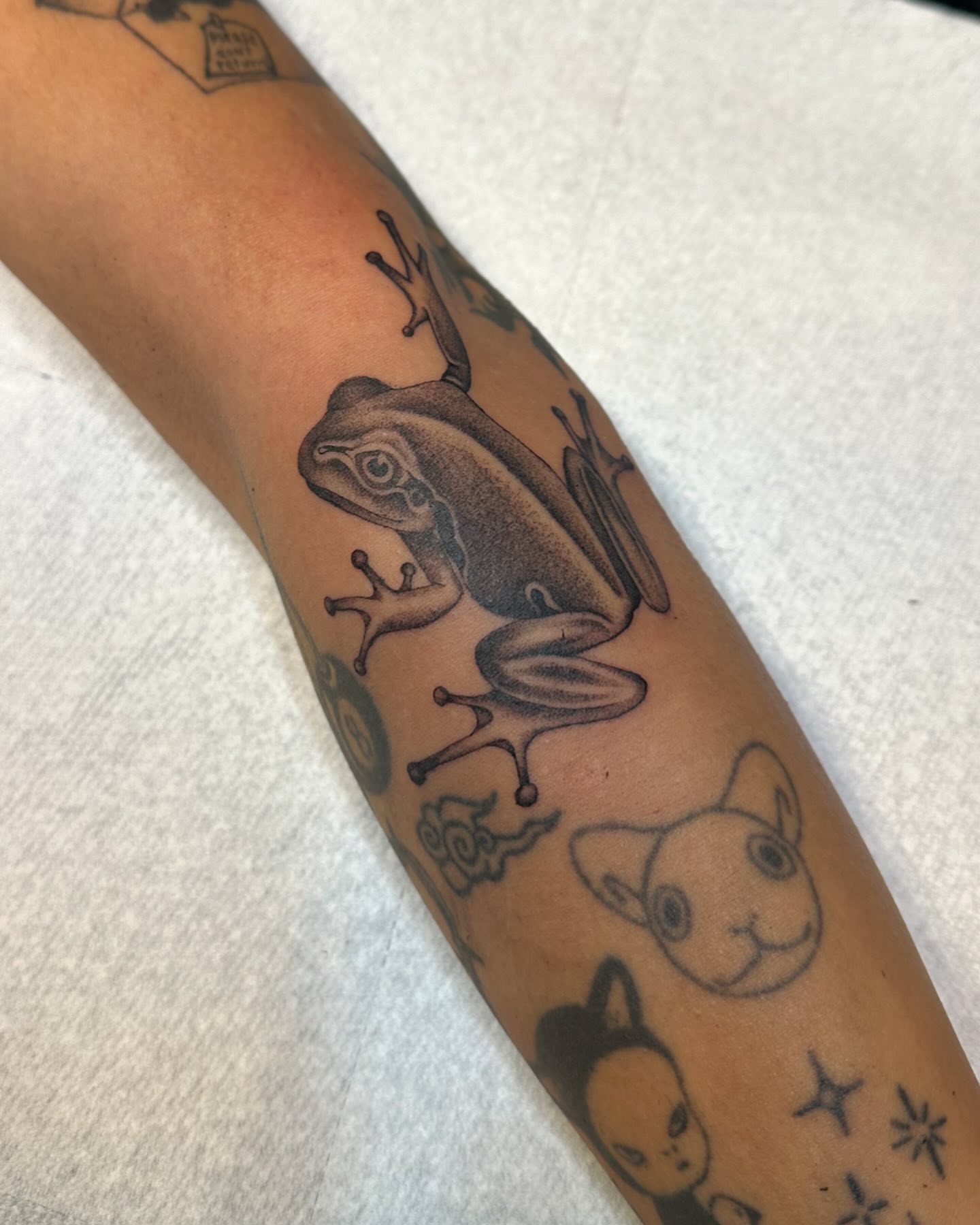 Frog dotwork tattoo on the forearm by 𝖍𝖆𝖓𝖓𝖆𝖍
