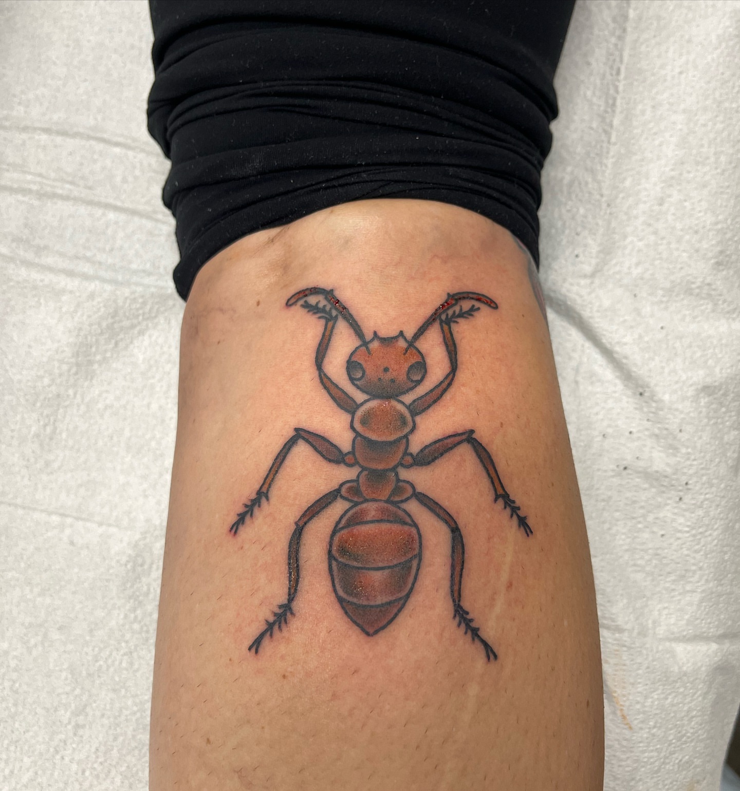 Ant realism tattoo on the forearm by Ashley Camp