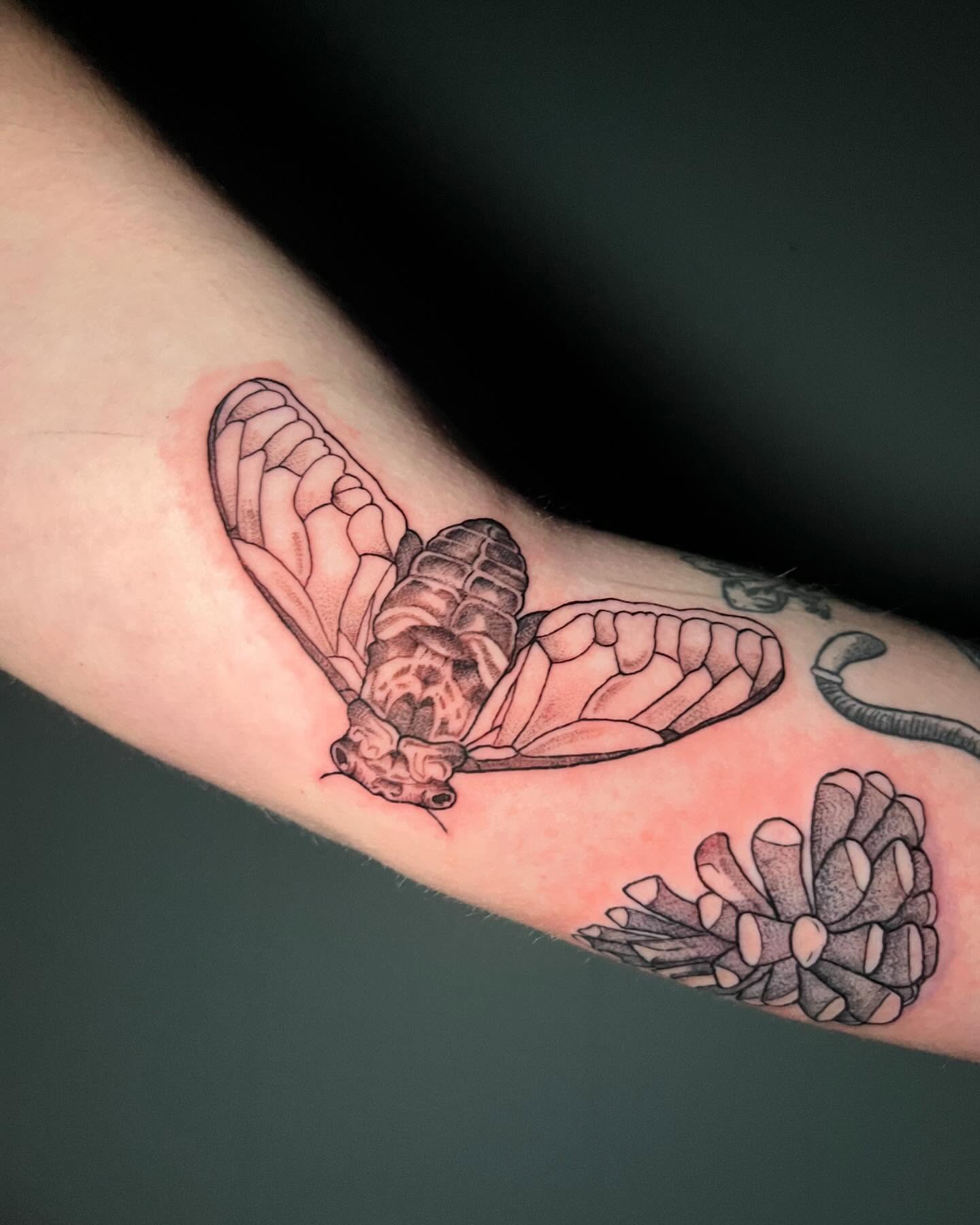 Tattoo by @keely_savage — realism
