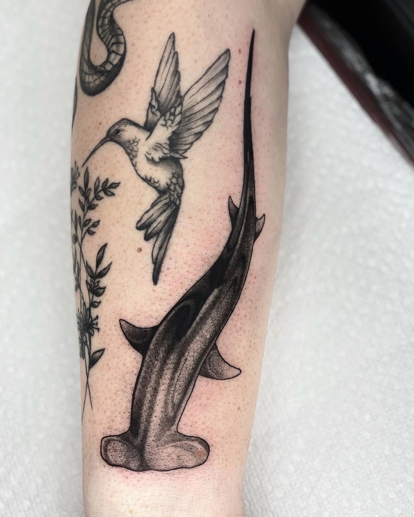 Hummingbird and hammerhead shark black and grey tattoo on the forearm by jada
