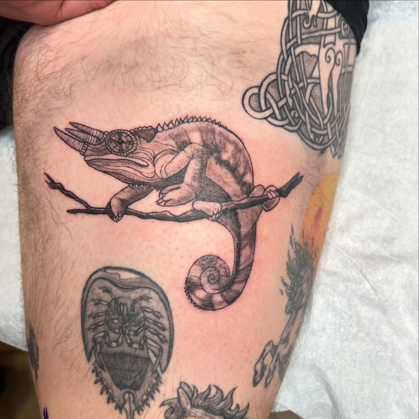 Chameleon realism tattoo on the thigh by sarah bug
