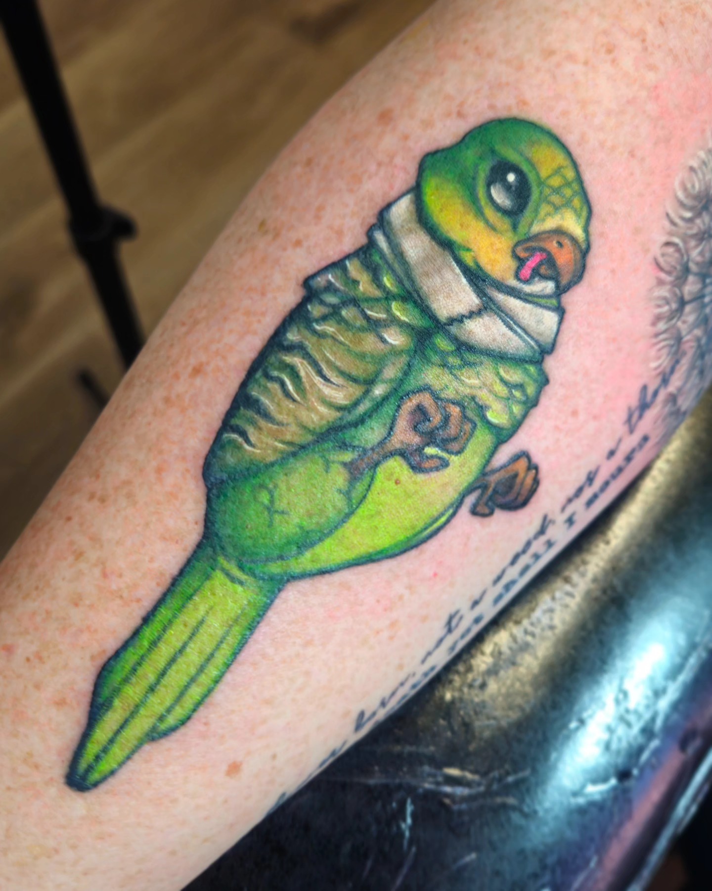 Parrot realism tattoo on the forearm by Angell Tattoo Artist, Denver, Colorado