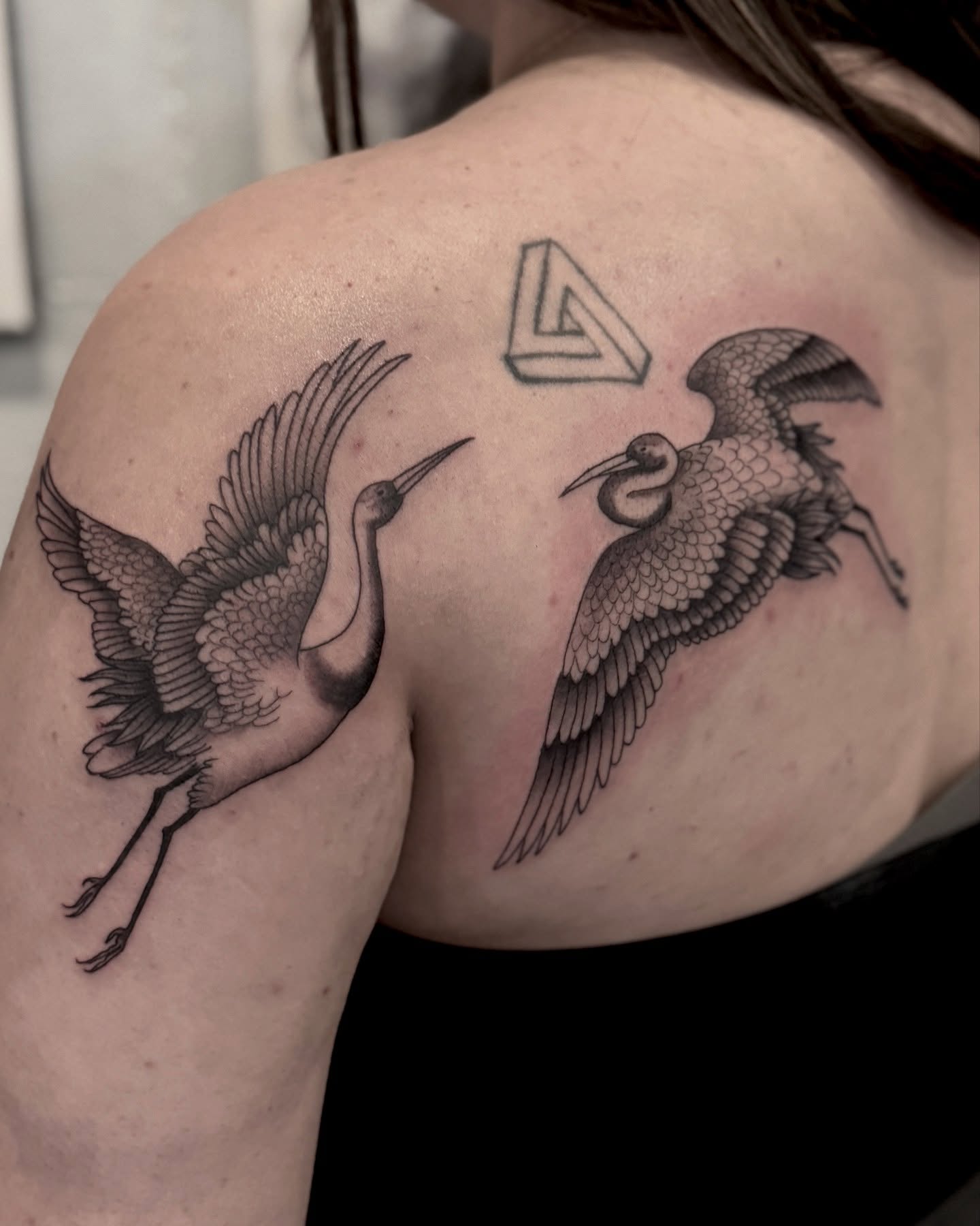 Cranes and impossible triangle geometric tattoo on the shoulder by Drew Foster, Toledo, Ohio