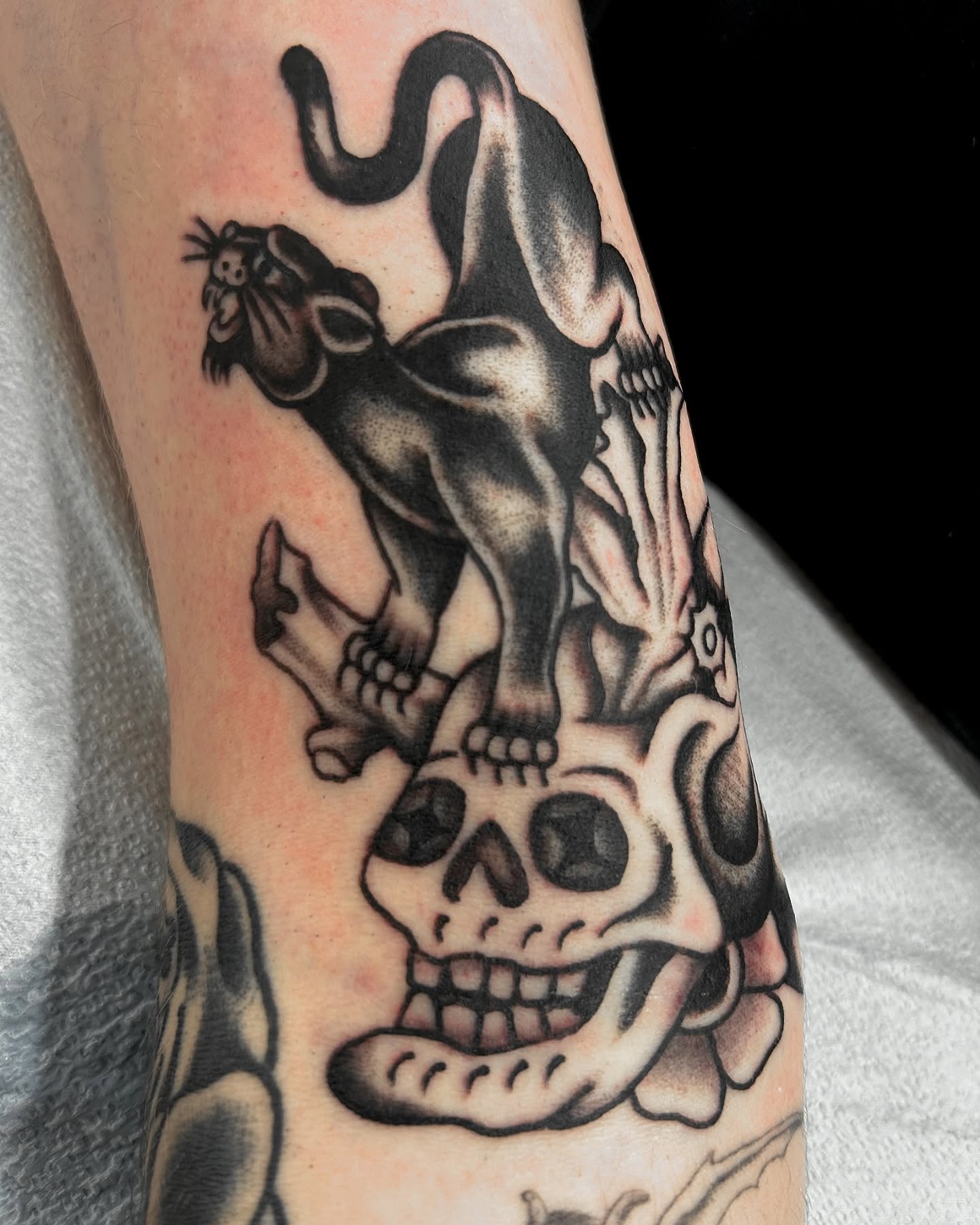 Panther and skull American traditional tattoo on the forearm by Joey Delarosa, San Francisco, California