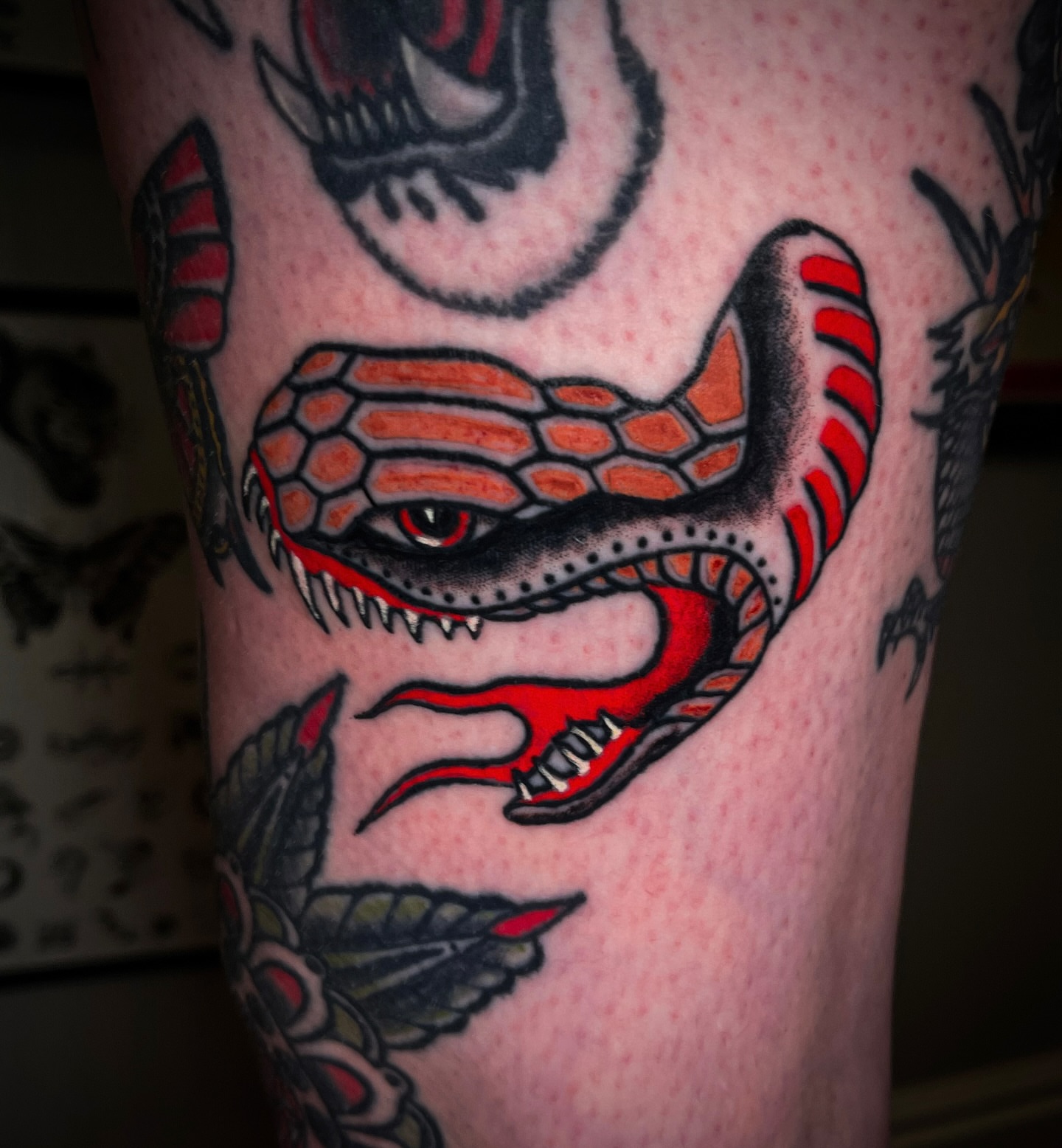 Snake American traditional tattoo on the forearm by Miguel Henrik