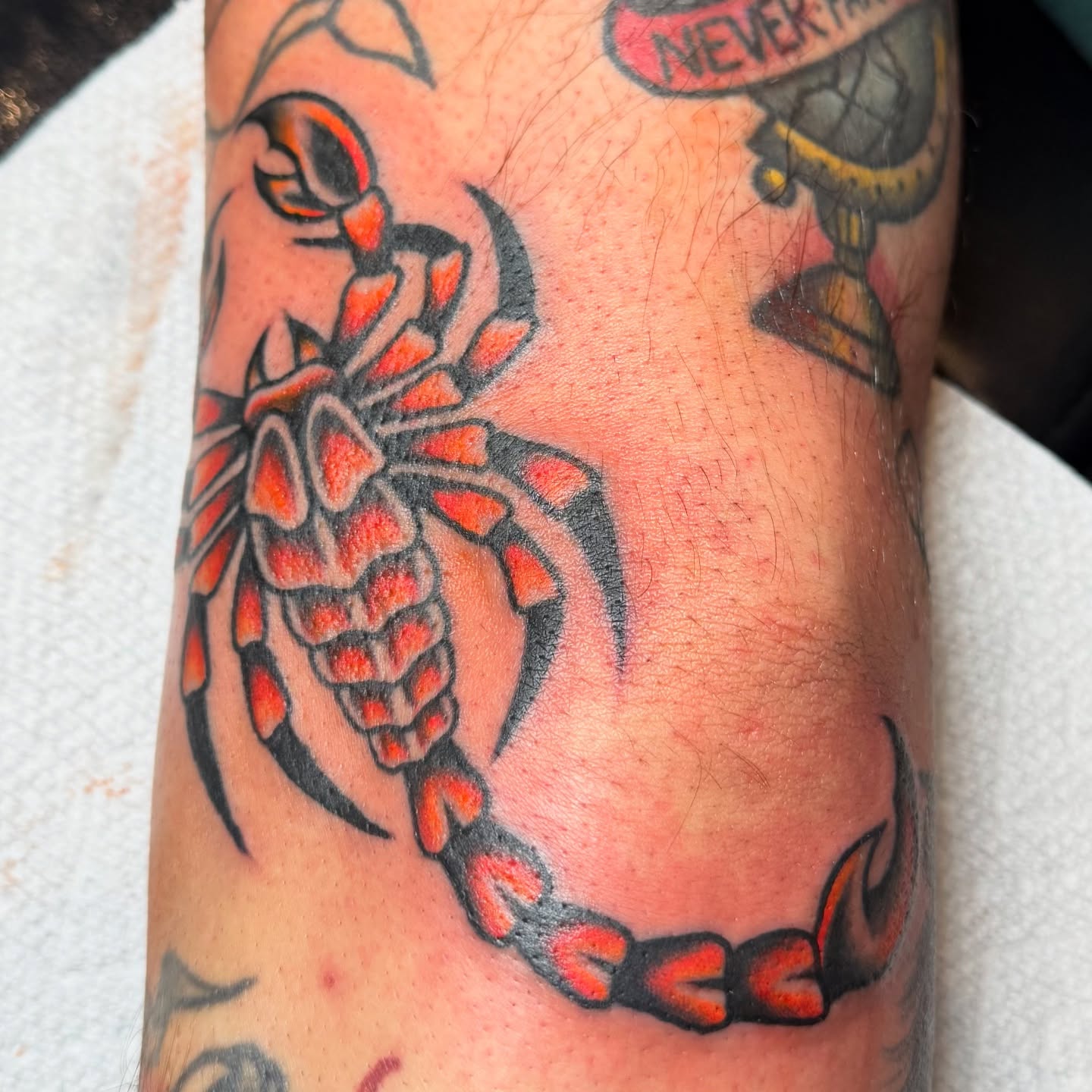 Tattoo by @kkstattoos — american_traditional