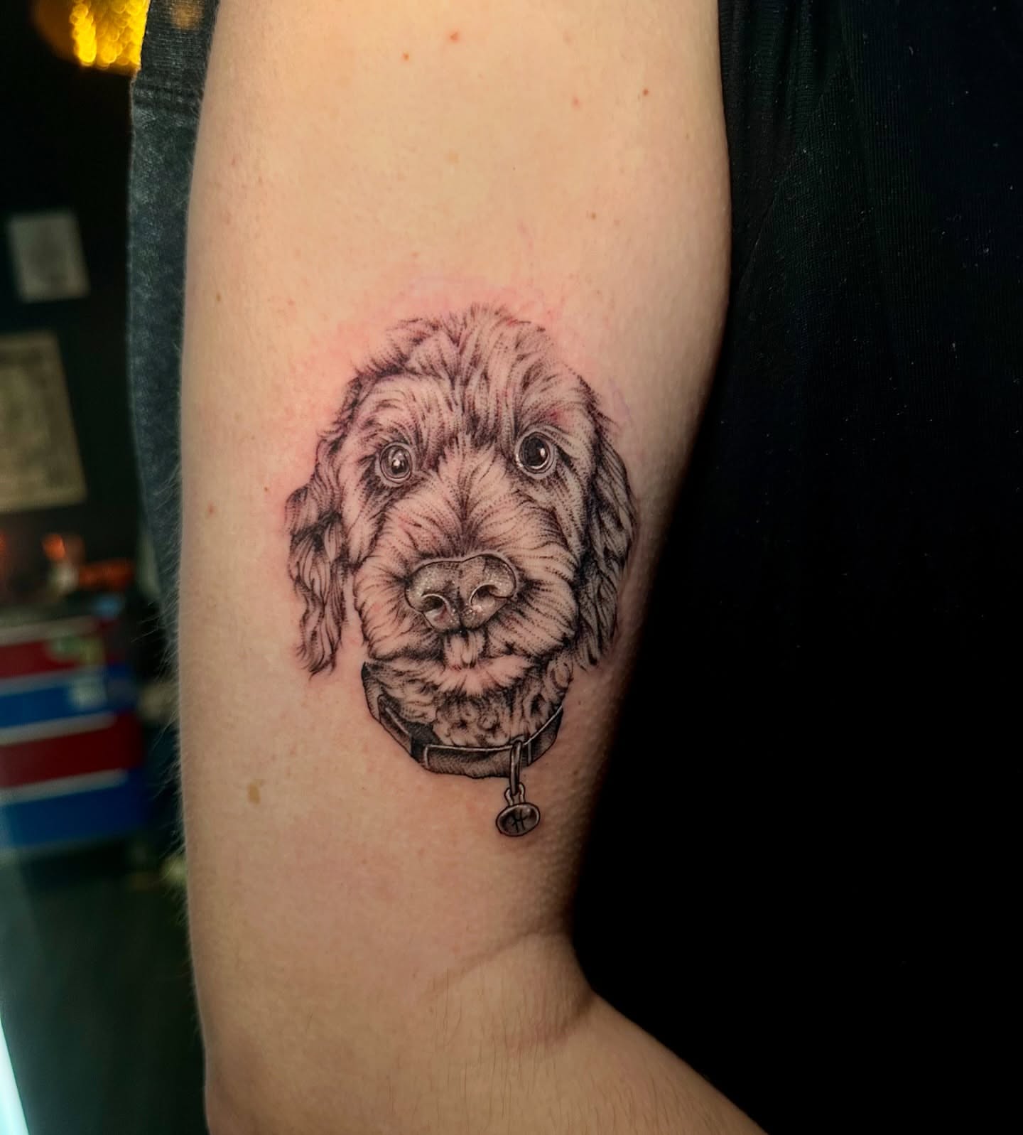 Dog realism tattoo on the forearm by Abby ✣ fineline and blackwork ✣