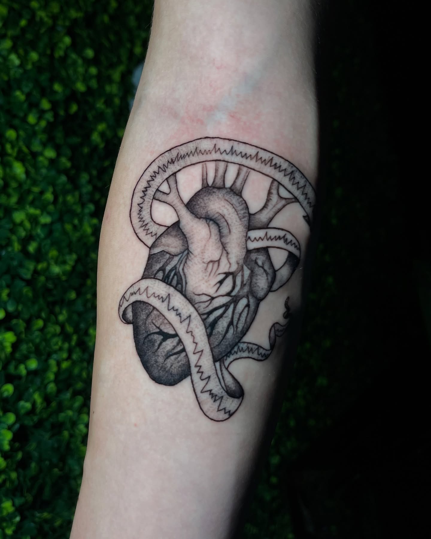 Tattoo by @wargski โ black_and_grey, realism