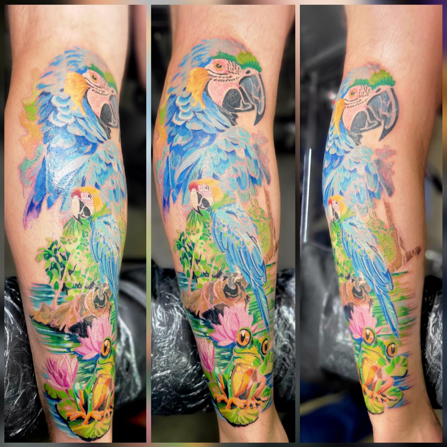 Parrots and frogs watercolor tattoo on the forearm by Naez Ink AKA Renae Madison, Macomb, Illinois