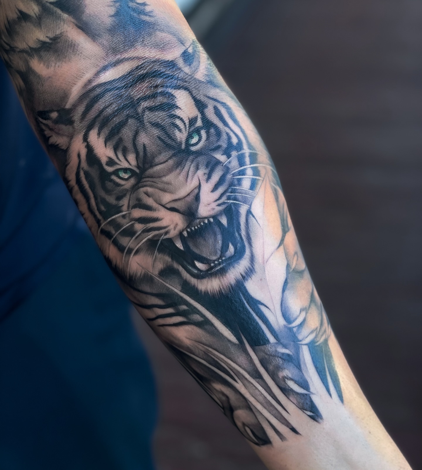 Tiger realism tattoo on the forearm by Erica Olivier