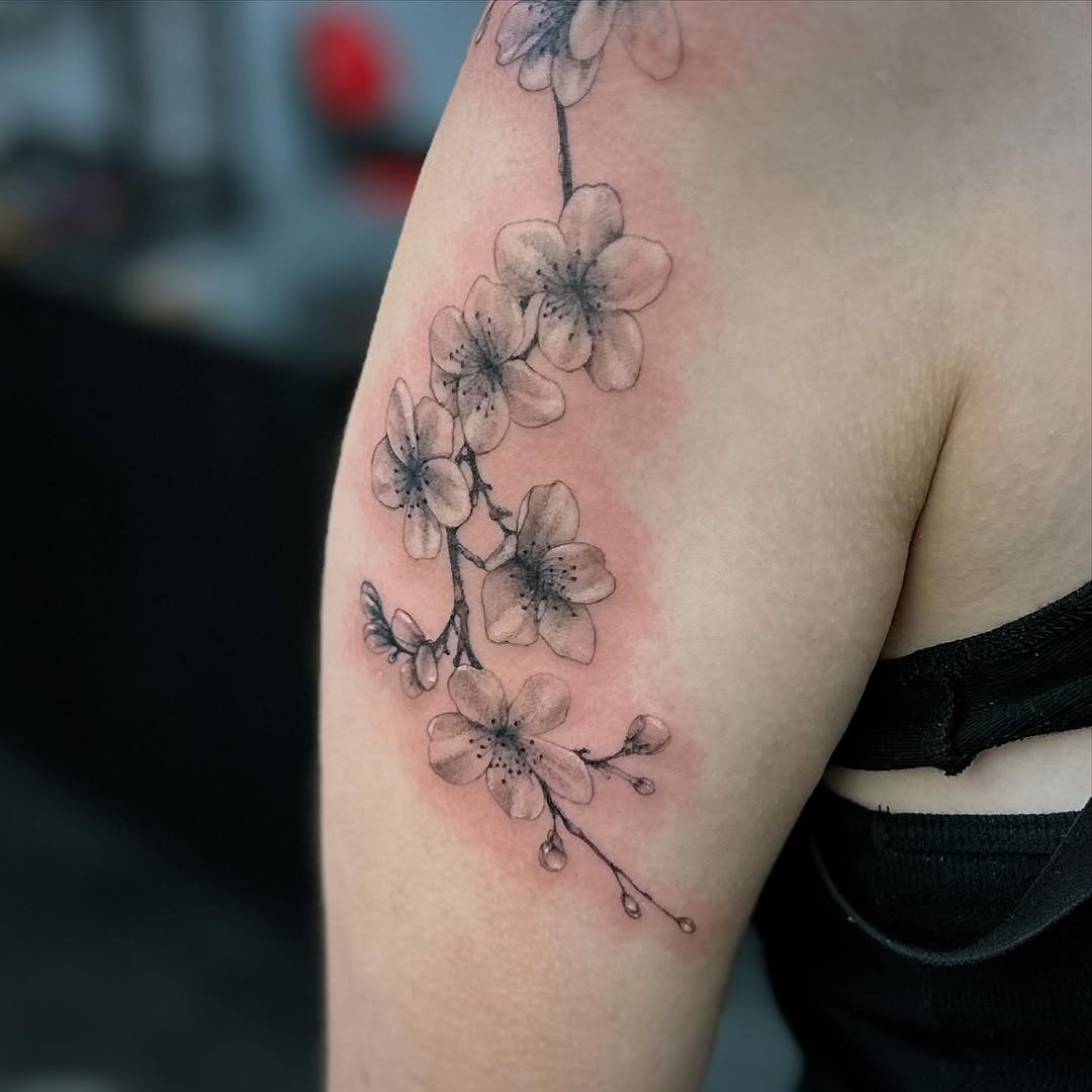 Cherry blossoms fine line tattoo on the upper arm by Travis Dale Tattoo Artist, Austin, Texas