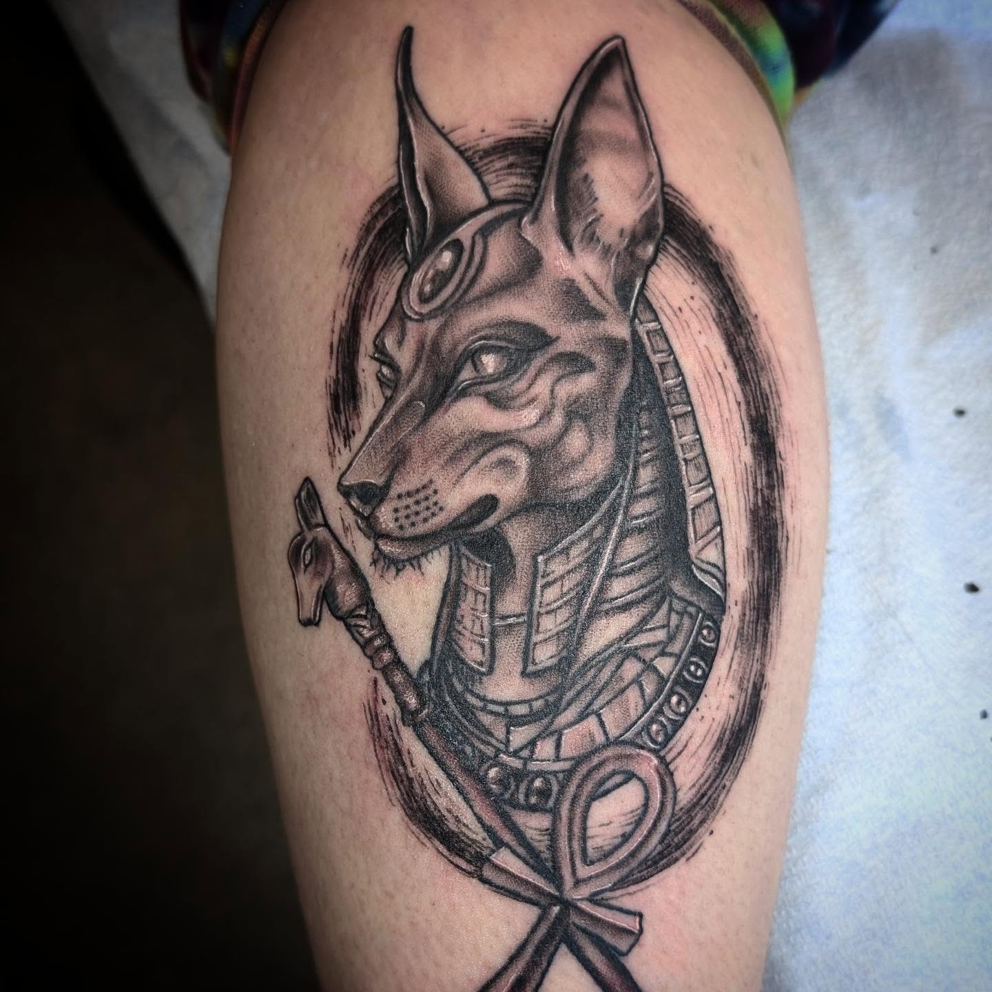 Anubis head realism tattoo on the thigh by Krista Mc