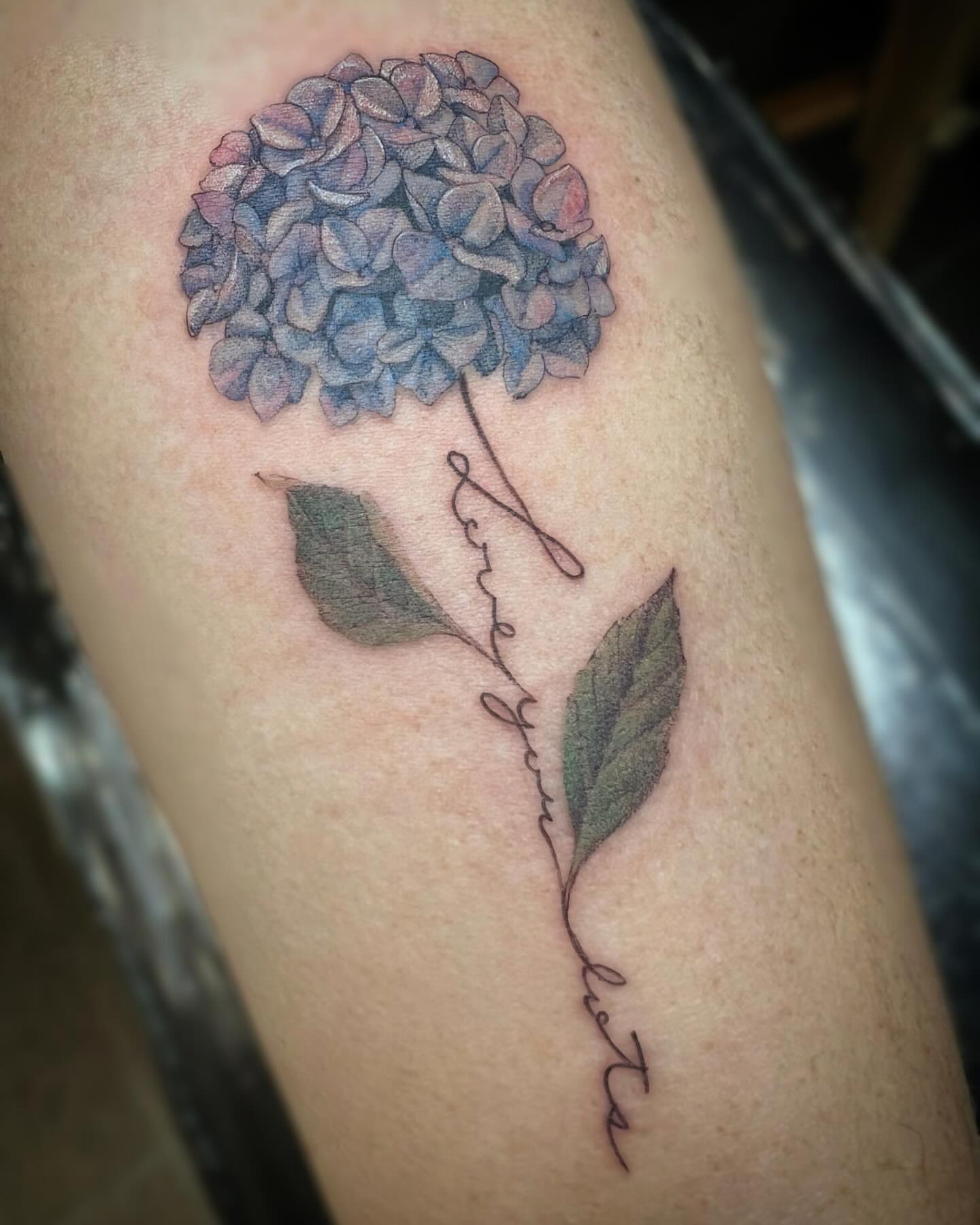 Hydrangea realism tattoo on the thigh by Sam Minter, Grafton, Massachusetts