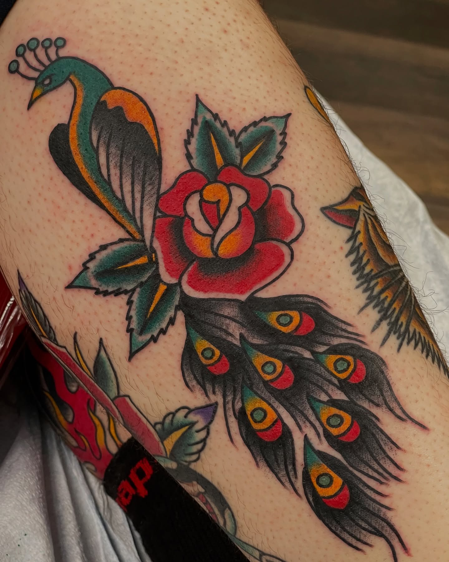 Peacock and rose American traditional tattoo on the forearm by adamsayre, San Diego, California
