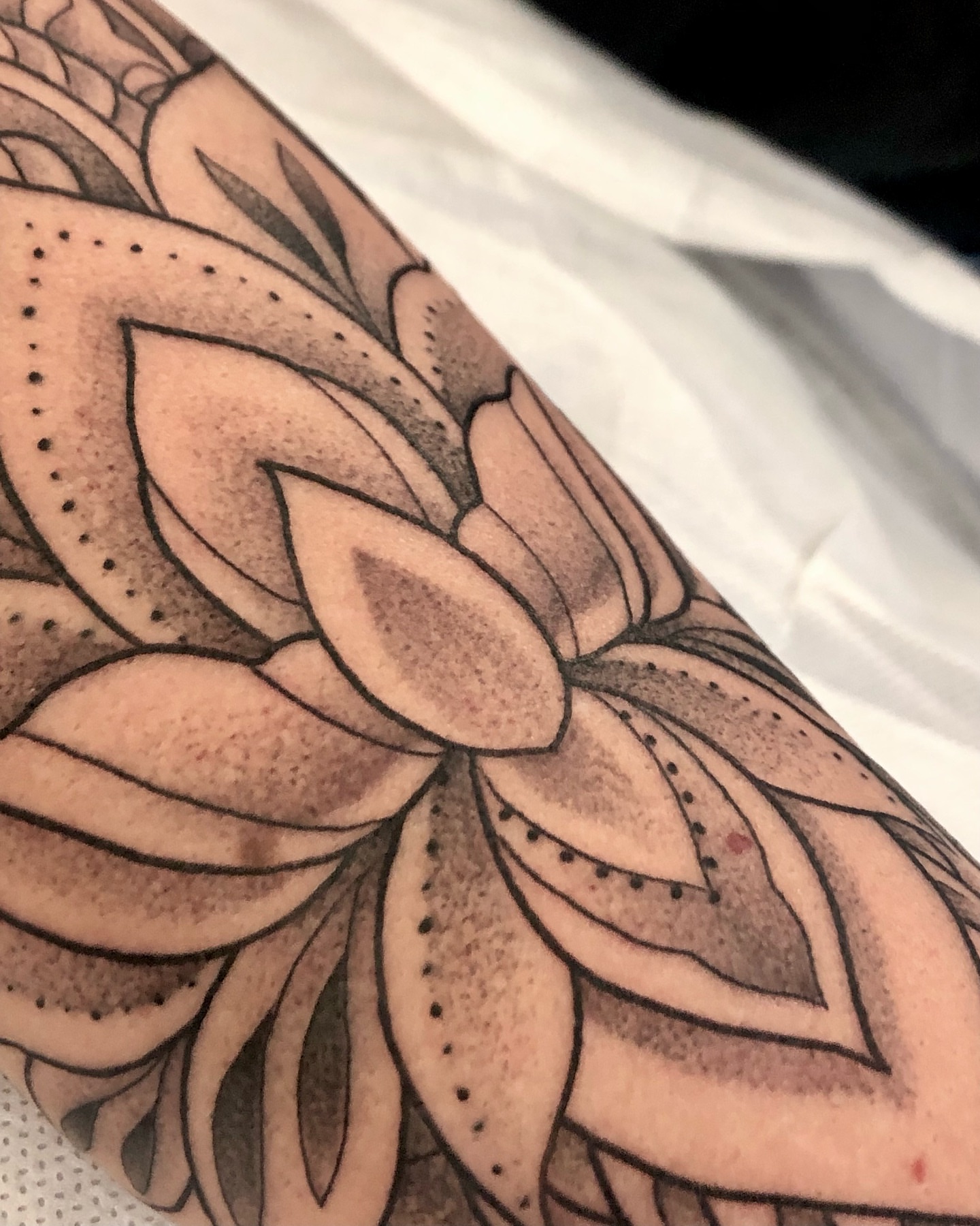 Tattoo by @jennietiesman β dotwork, black_and_grey