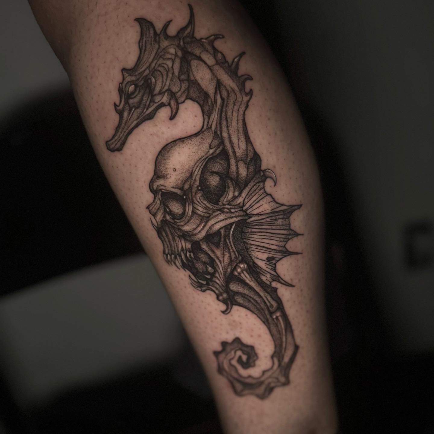 Seahorse skull dotwork tattoo on the forearm by V