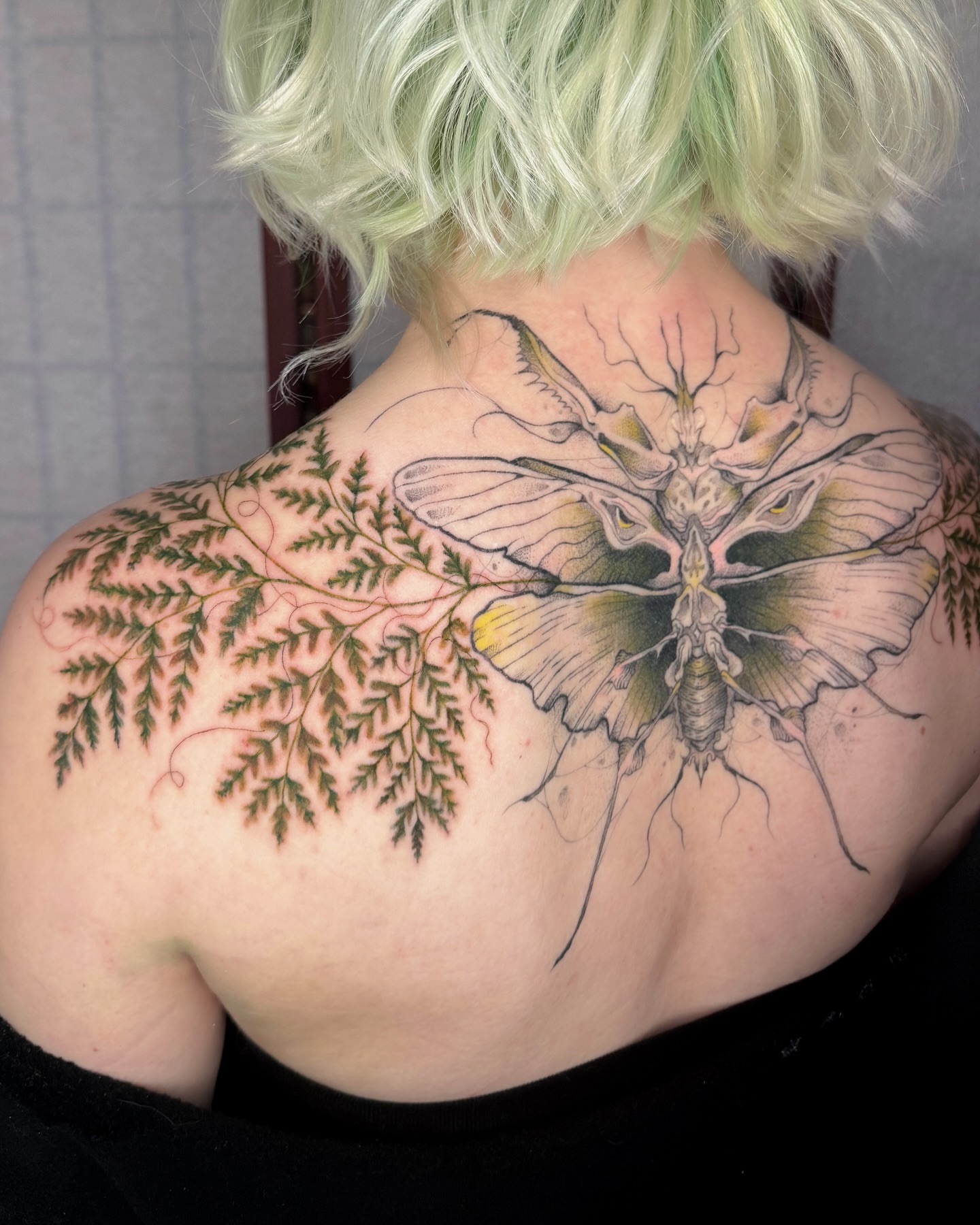 Moth and fern realism tattoo on the back by Natasha Rachel Fineline Tattoos Nashville