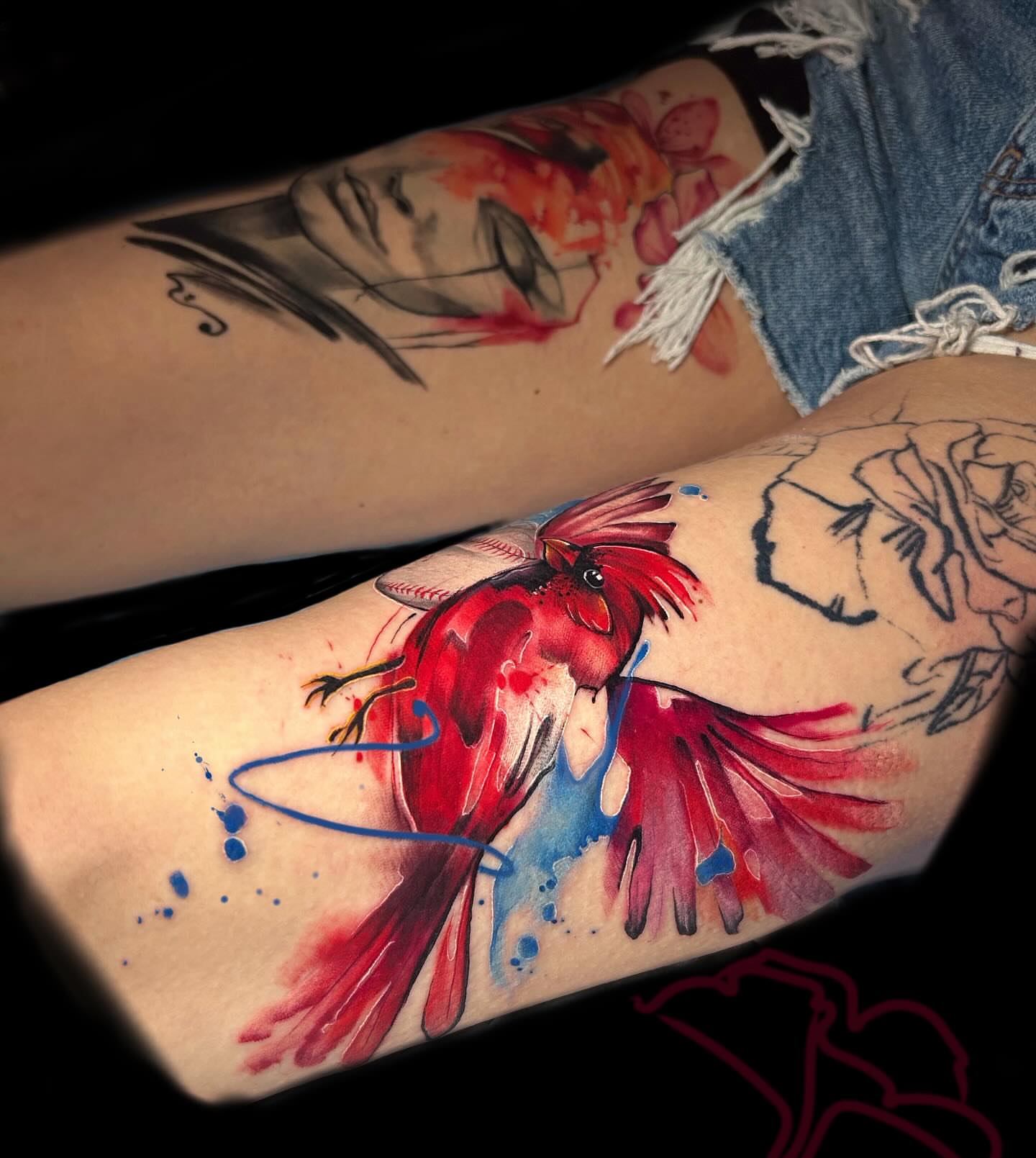 Red cardinal watercolor tattoo on the forearm by Aline Petunia, Los Angeles, California