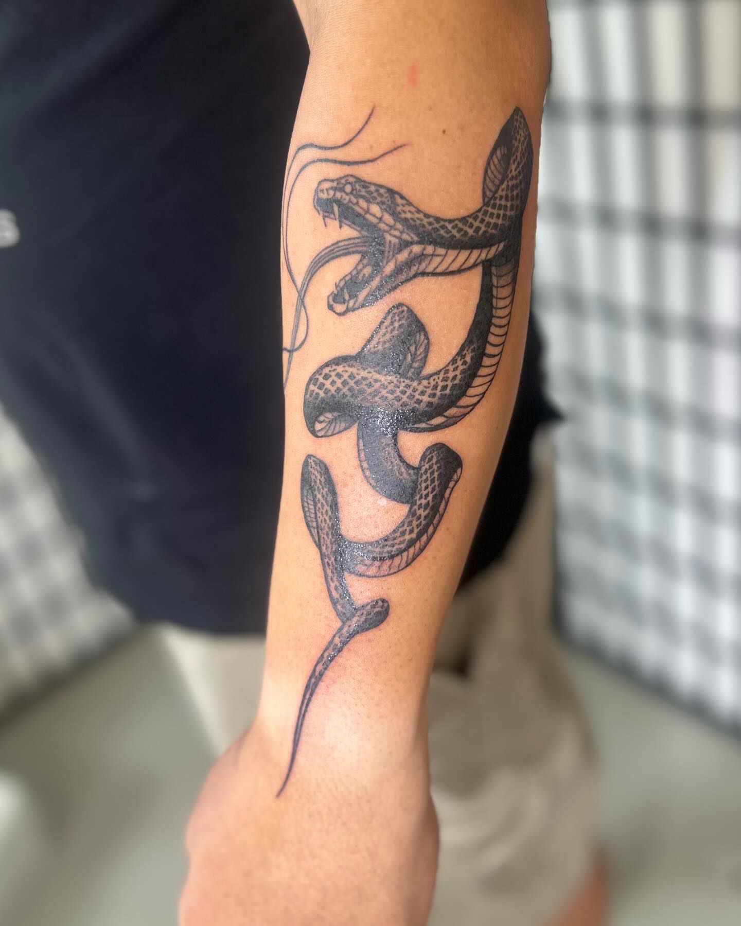 Snake black and grey tattoo on the forearm by ɢɢ sᴛʏʟᴇs