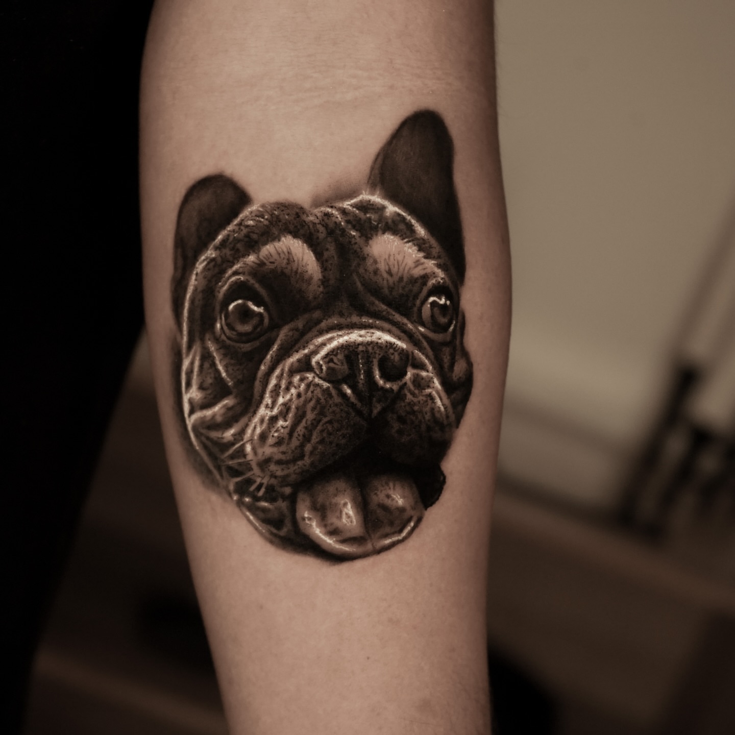 Bulldog realism tattoo on the forearm by Eduardo Alonso Cruz ๐ฒ๐ฝ