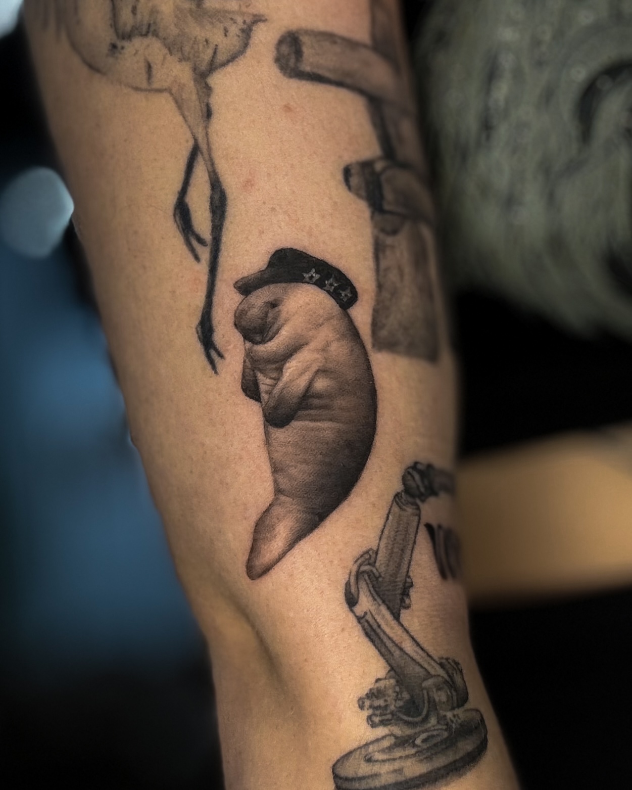 Manatee wearing cowboy hat black and grey tattoo on the forearm by Rose