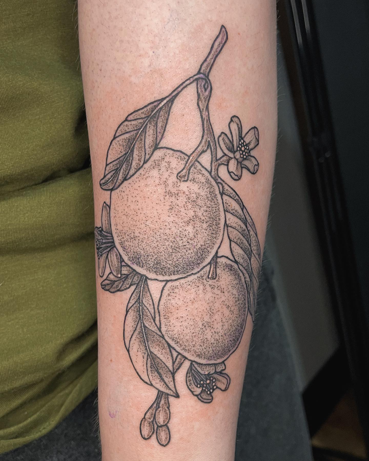 Tattoo by @allieruck_tattoos — dotwork