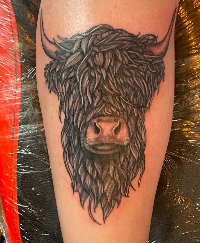 Highland cow realism tattoo on the thigh by Madeline, Akron, Ohio