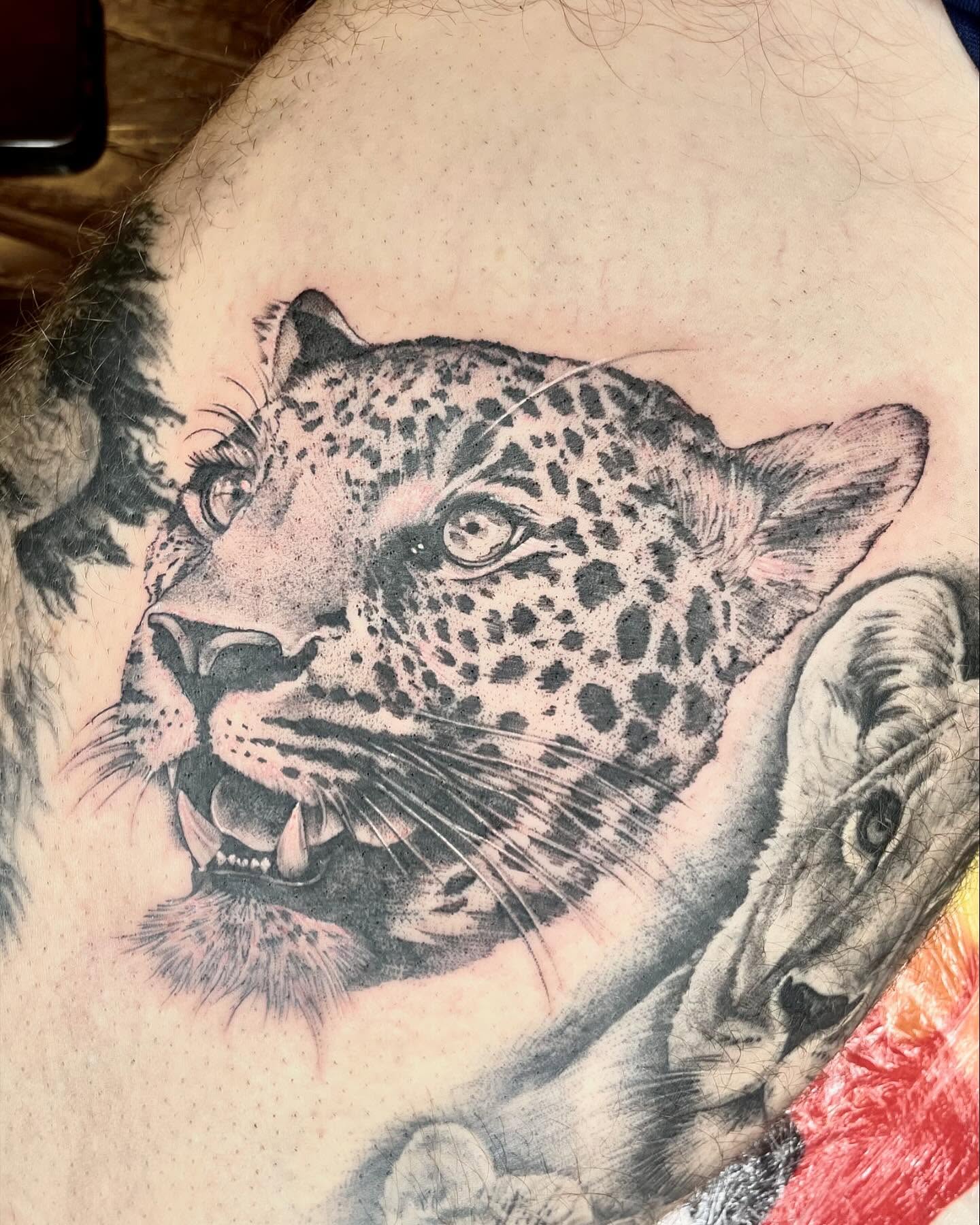 Leopard realism tattoo on the thigh by Grace derby tattooist, Derby