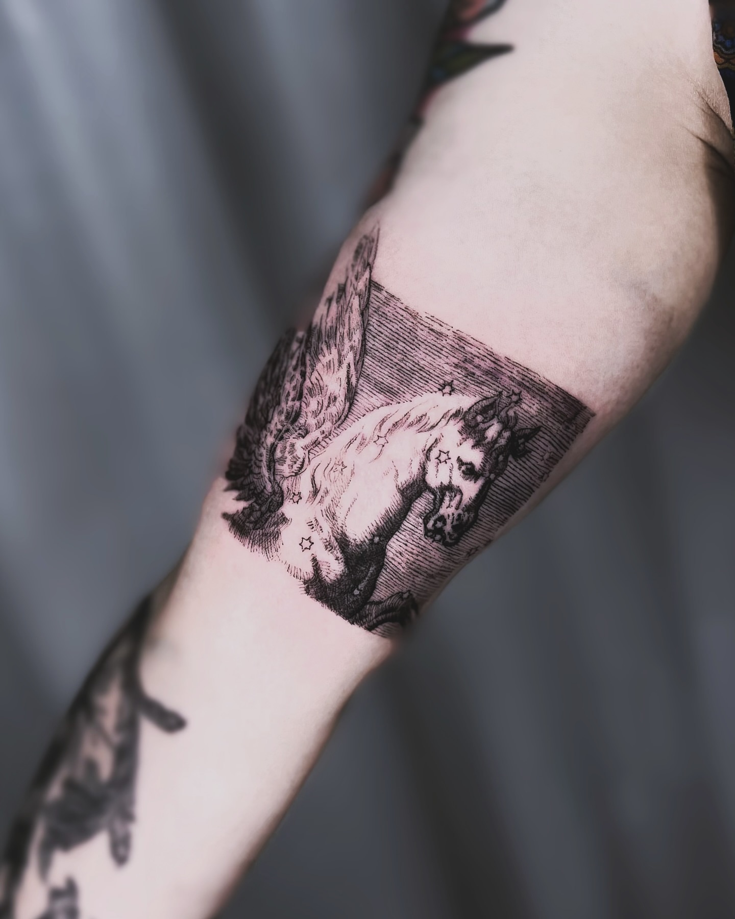 Unicorn black and grey tattoo on the forearm by Vintage tattoo