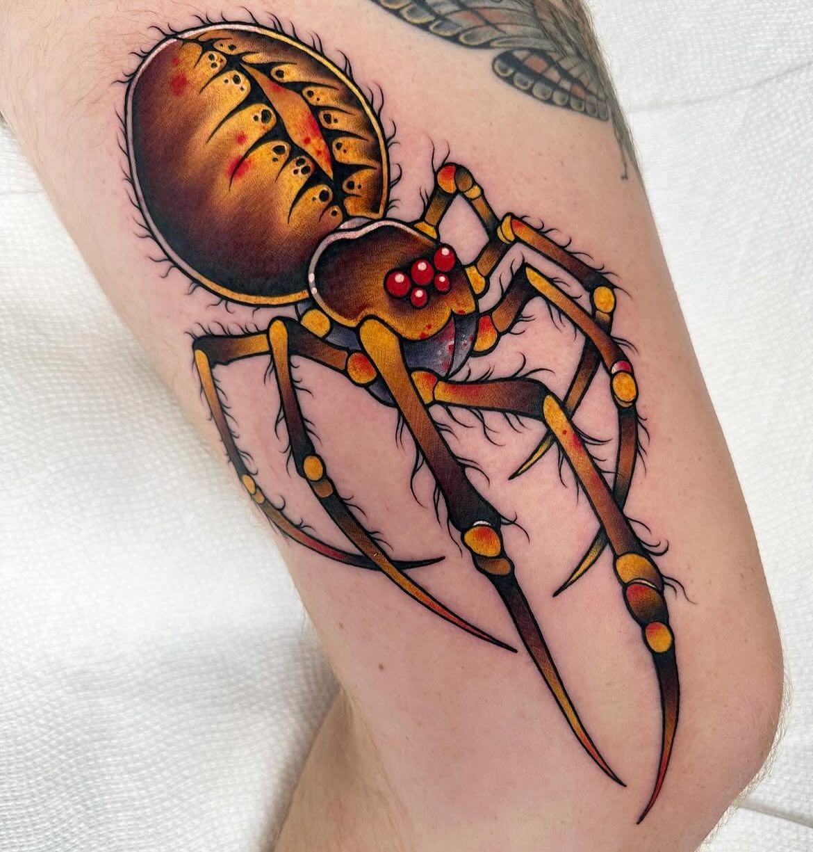 Spider American traditional tattoo on the forearm by Mark Boller