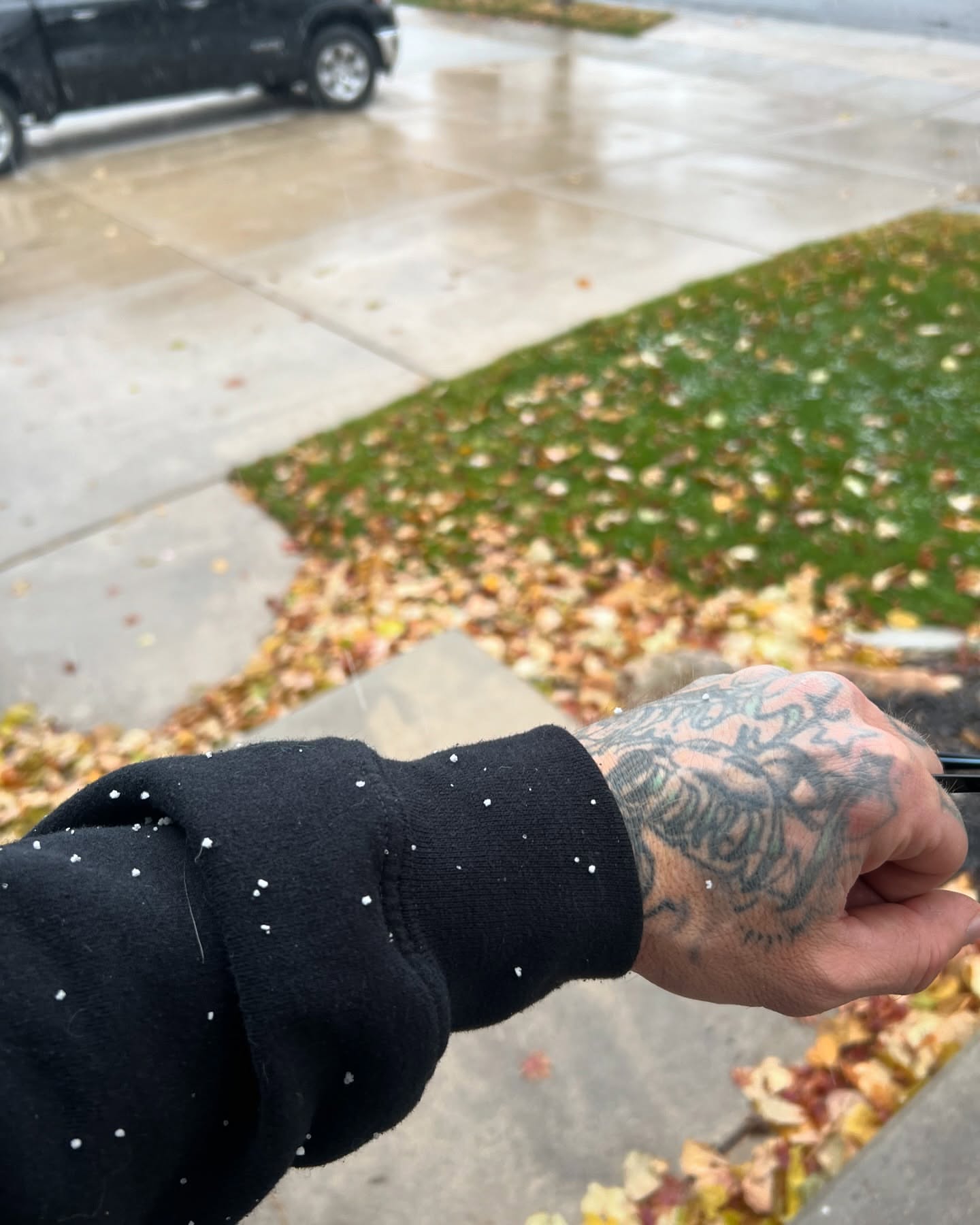 Floral design black and grey tattoo on the hand by Mike j tattooer