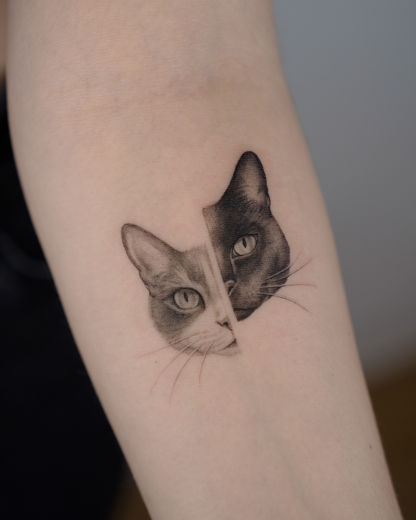 Cat realism tattoo on the forearm by Tattoo Artist