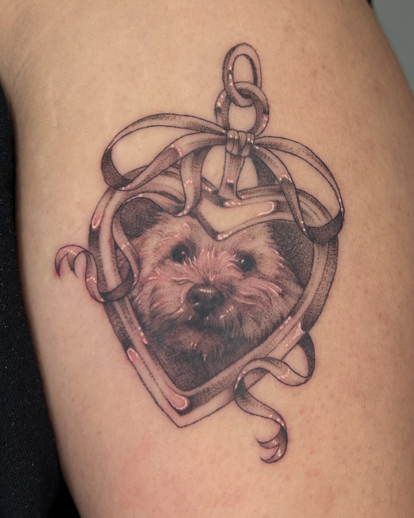 Dog portrait realism tattoo on the thigh by ✮shayla ganong✮