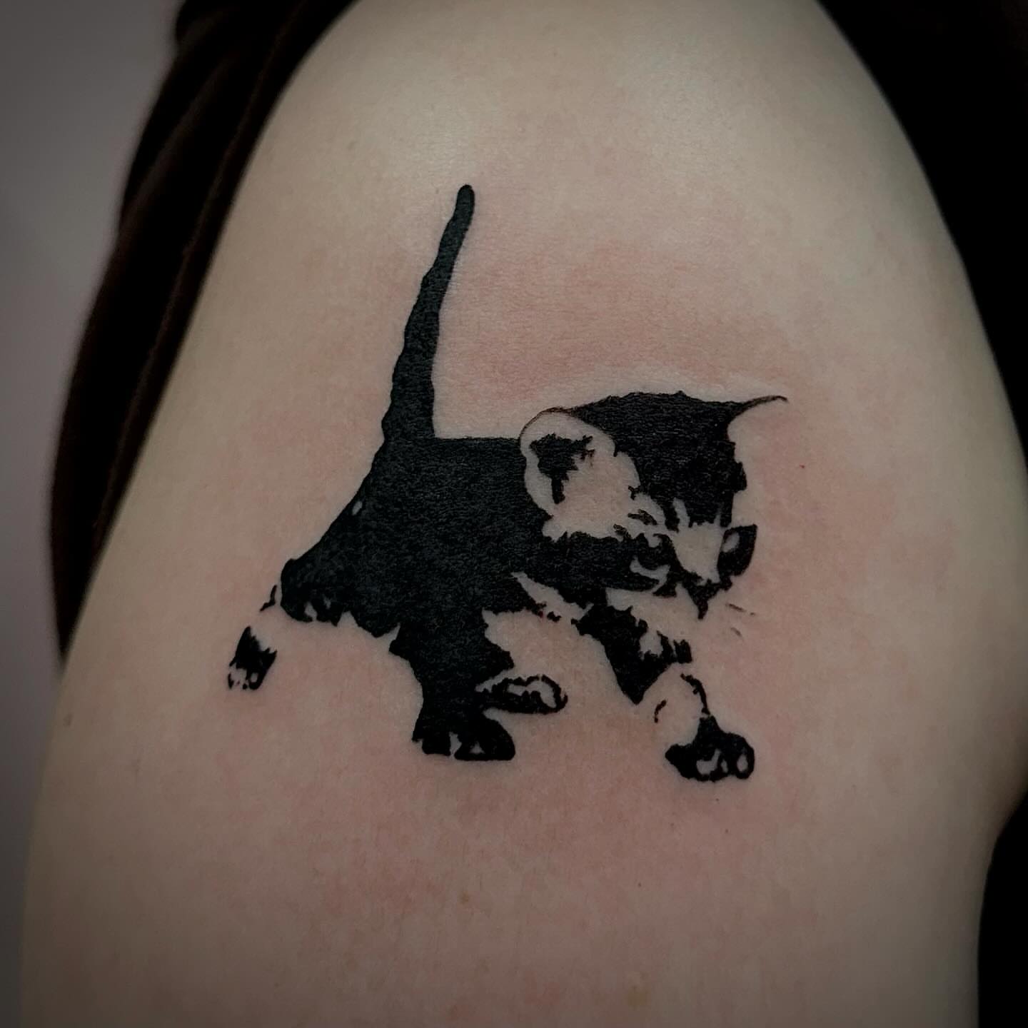 Kitten black and grey tattoo on the shoulder by Emily‹𝟹