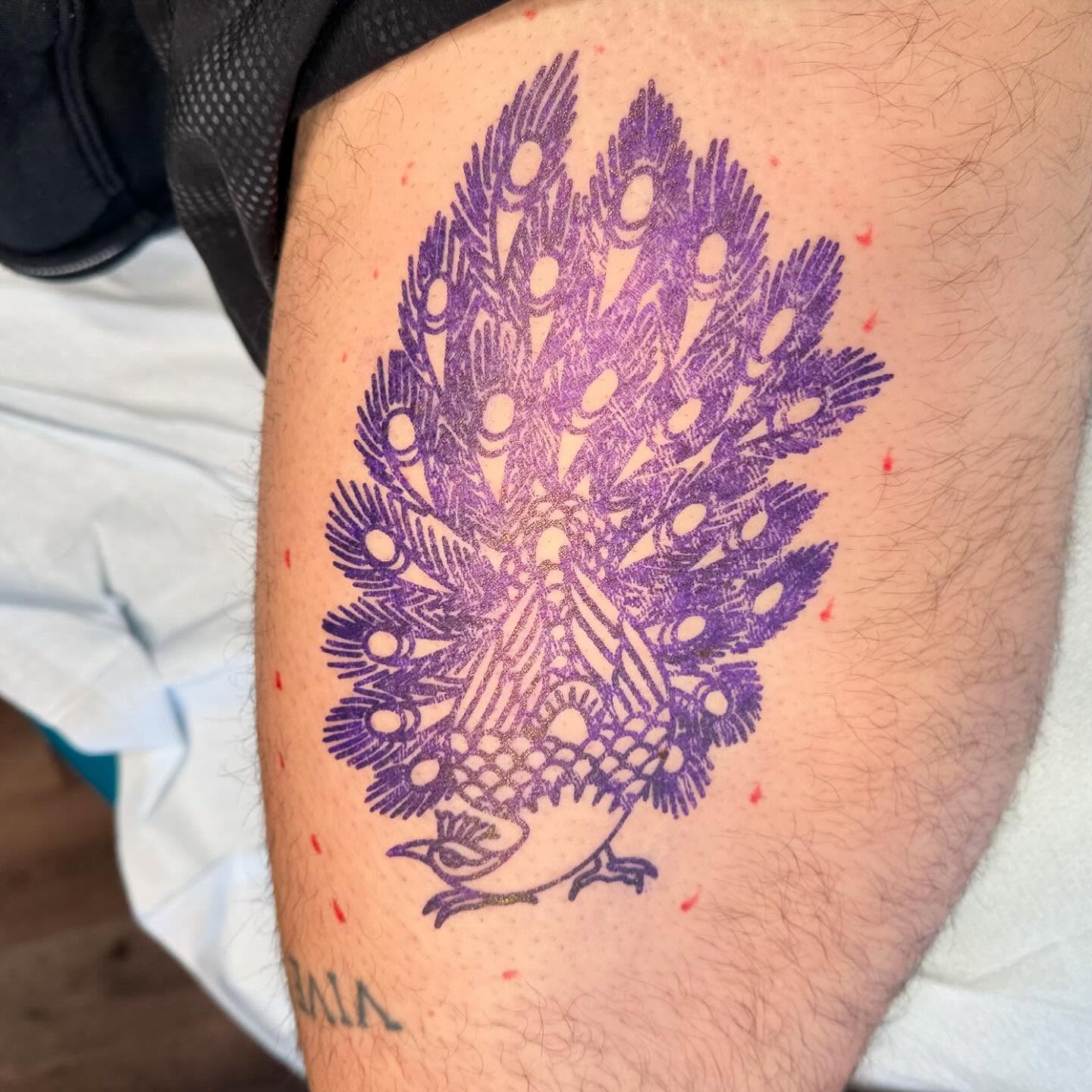 Peacock dotwork tattoo on the thigh by Jess Ritchie, Austin, Texas