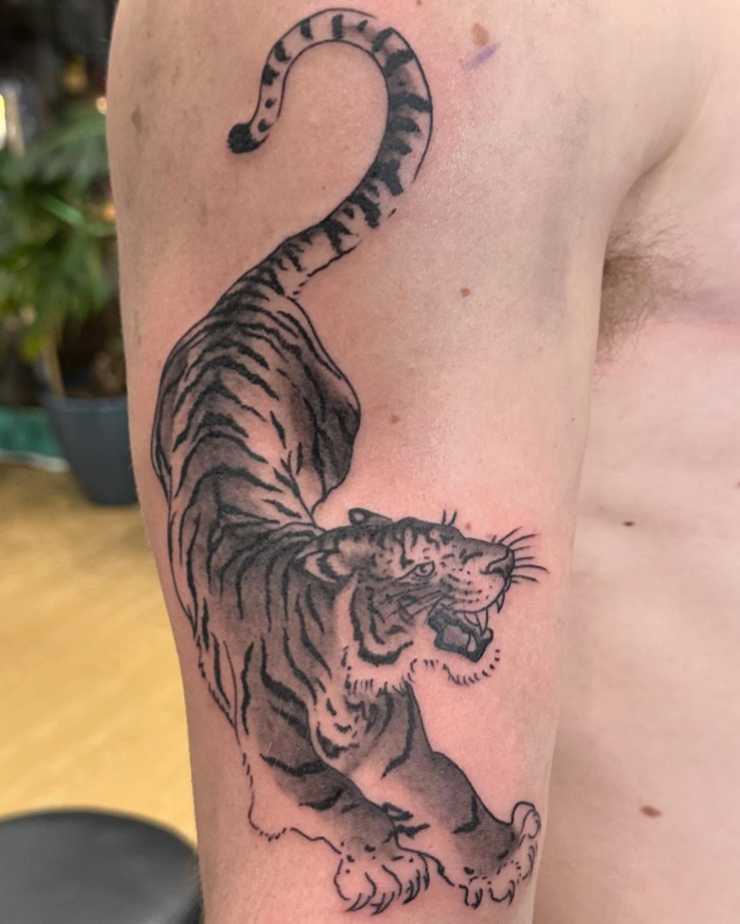 Tiger black and grey tattoo on the forearm by 𝕯𝖗𝖆𝕶𝖊㋛