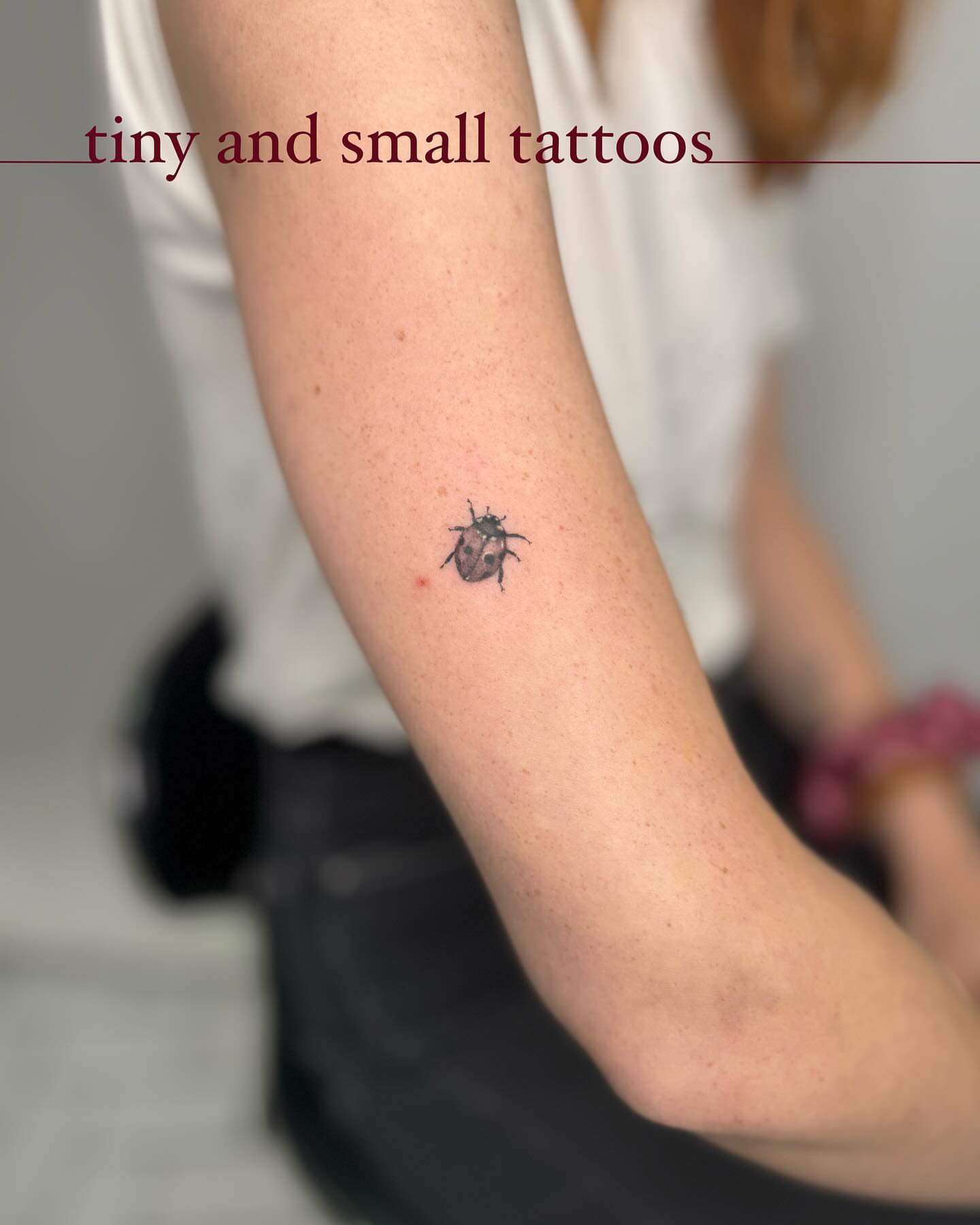 Bug realism tattoo on the forearm by Natasha Rachel Fineline Tattoos Nashville