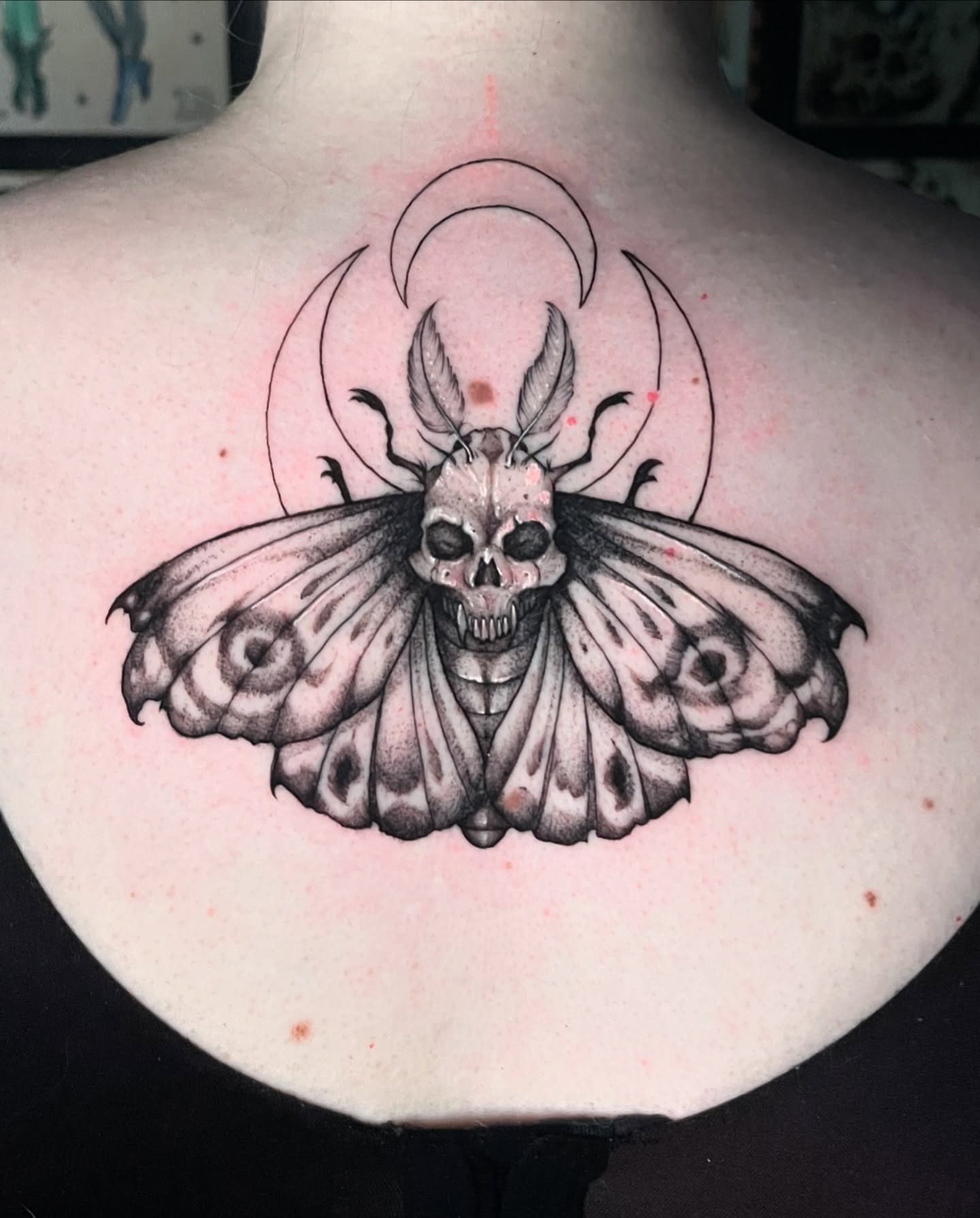 Moth skull black and grey tattoo on the back by Xavi Xiva TATTOO