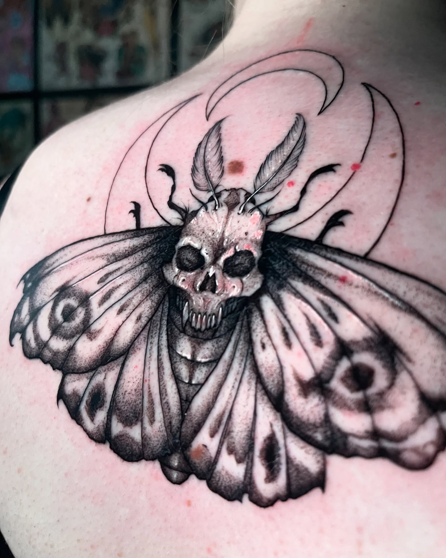 Moth skull dark realism tattoo on the shoulder by Xavi Xiva TATTOO