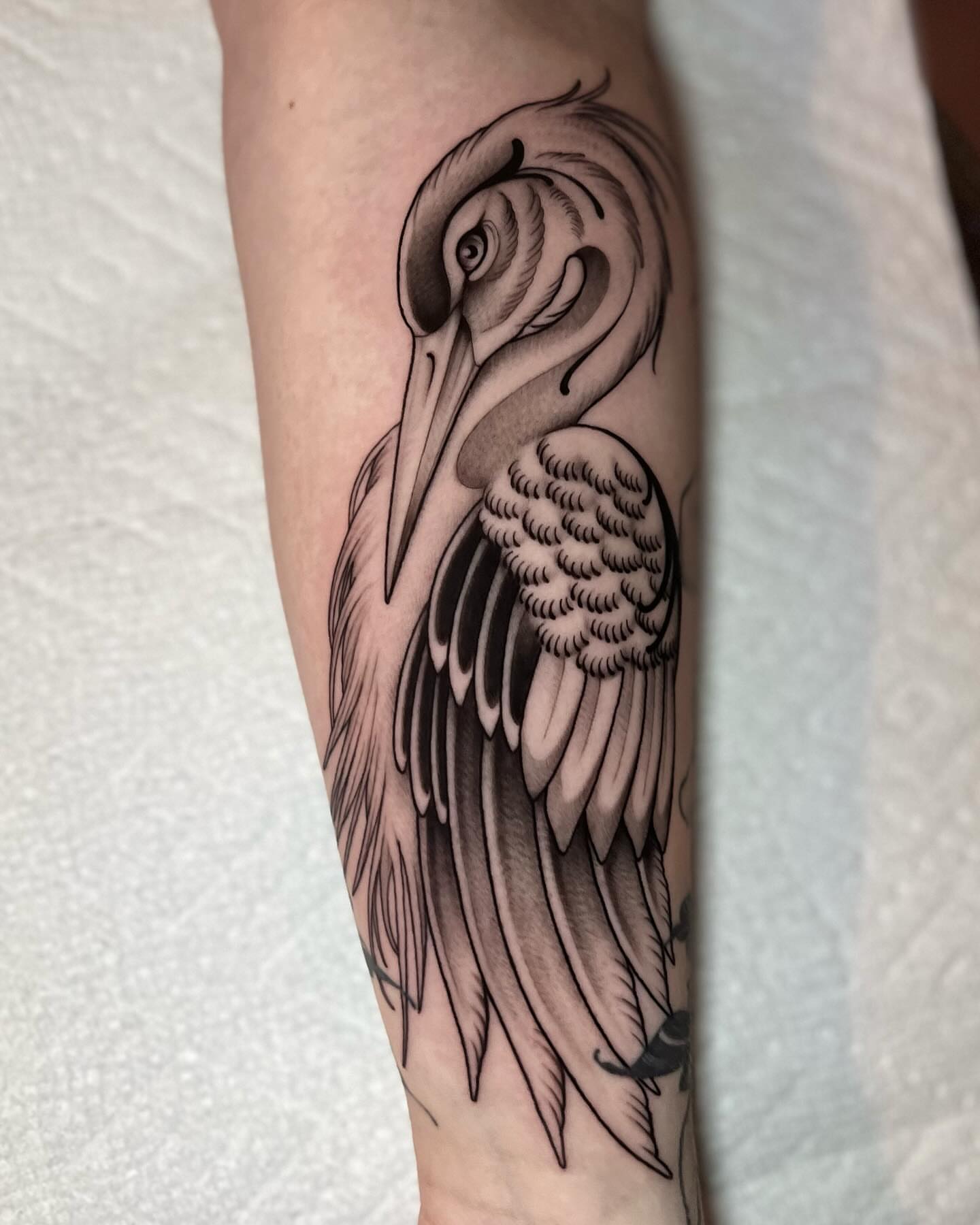 Heron black and grey tattoo on the forearm by Chelsea Darling