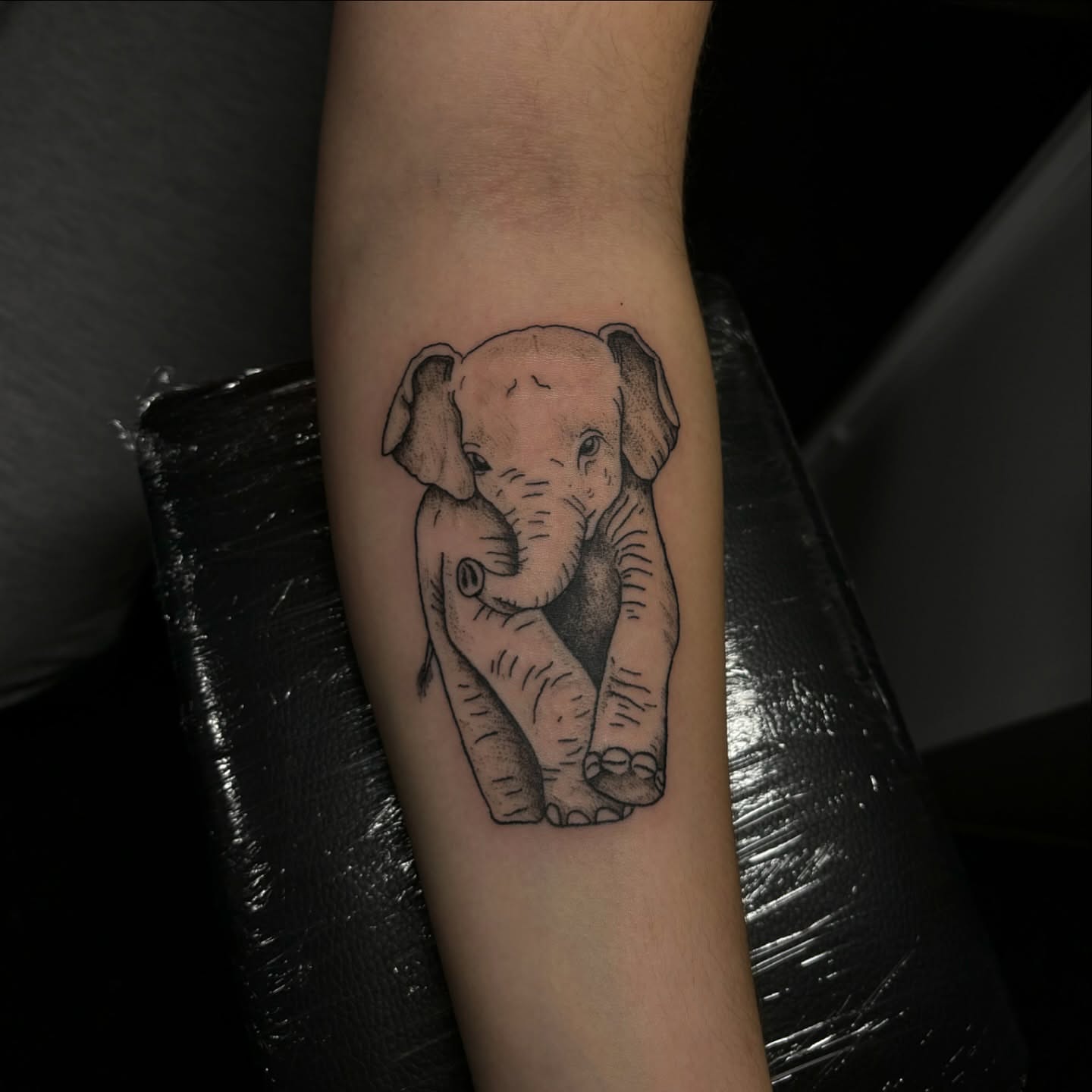 Baby elephant dotwork tattoo on the forearm by Victoria