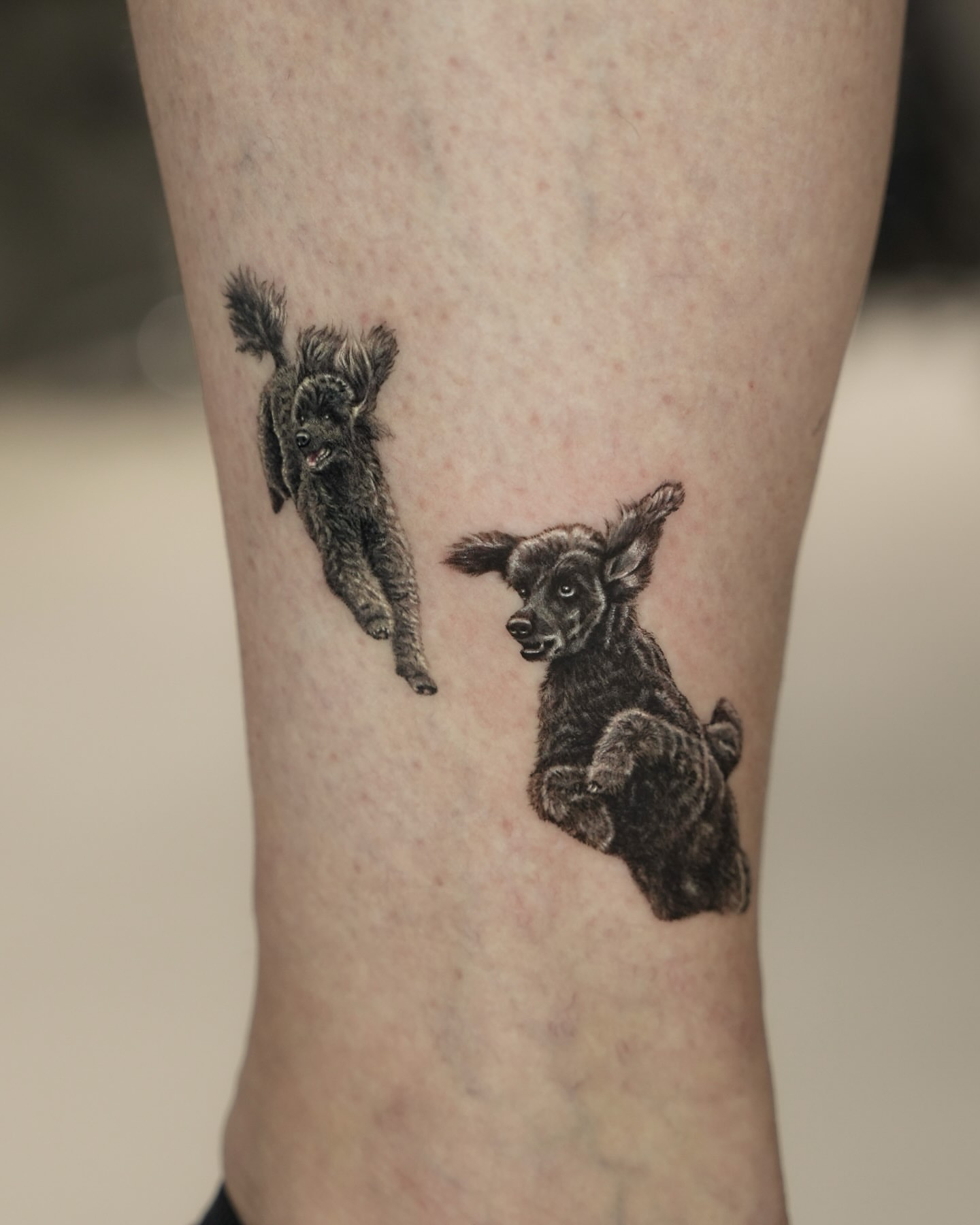 Dogs realism tattoo on the forearm by Hoze