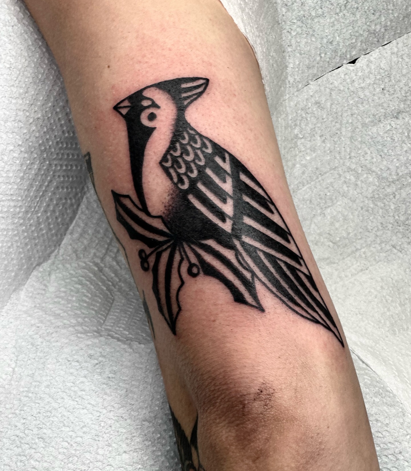 Bird black and grey tattoo on the forearm by Maks