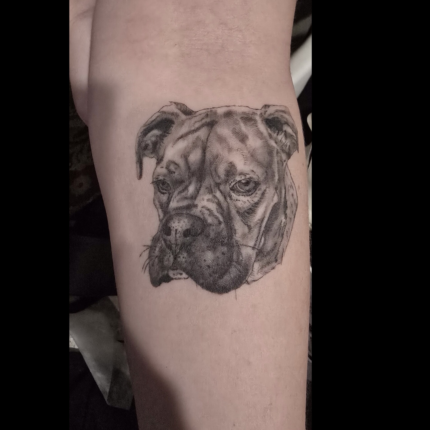 Tattoo by @talia_tattoo_ — realism