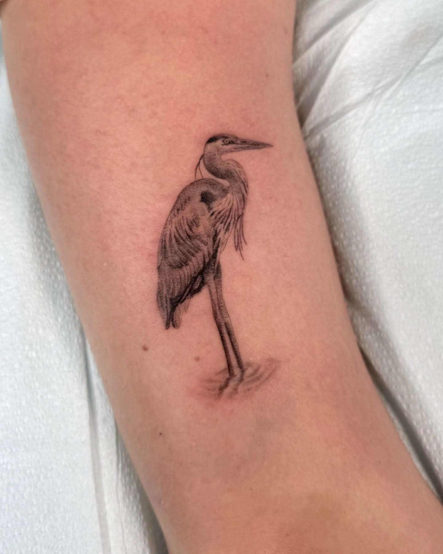 Heron realism tattoo on the forearm by Truett Payton