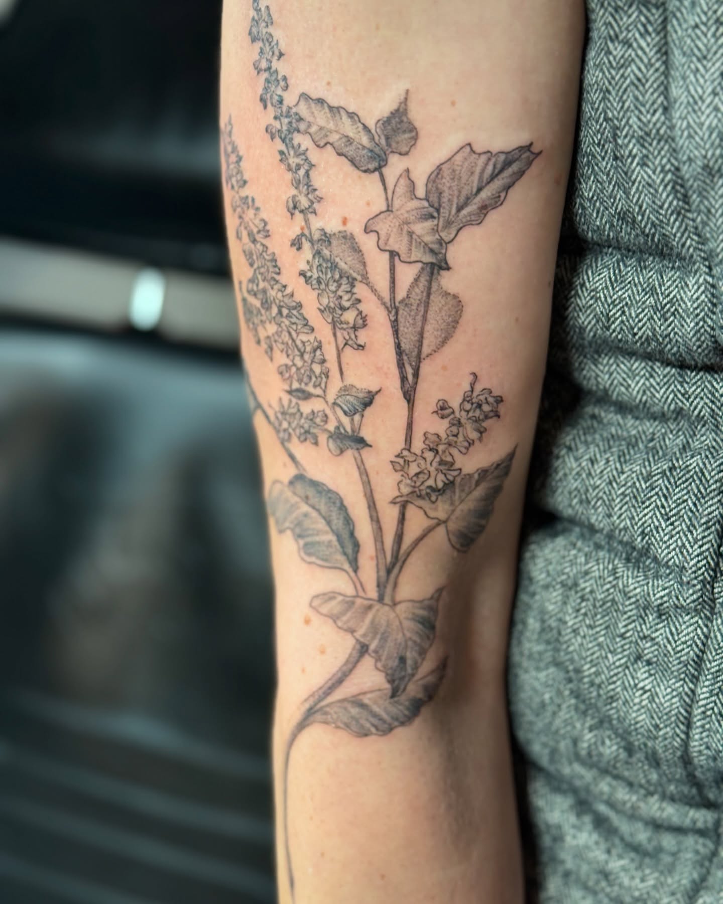 Tattoo by @blackbenny — black_and_grey