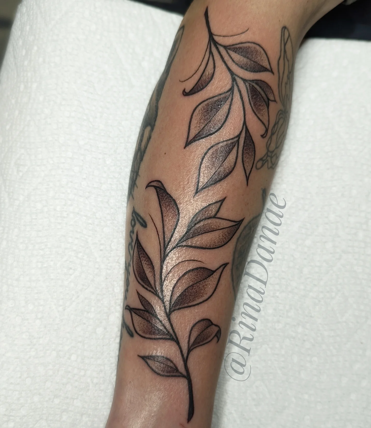 Leaf black and grey tattoo on the forearm by Rina Danaé Tattoo🌿