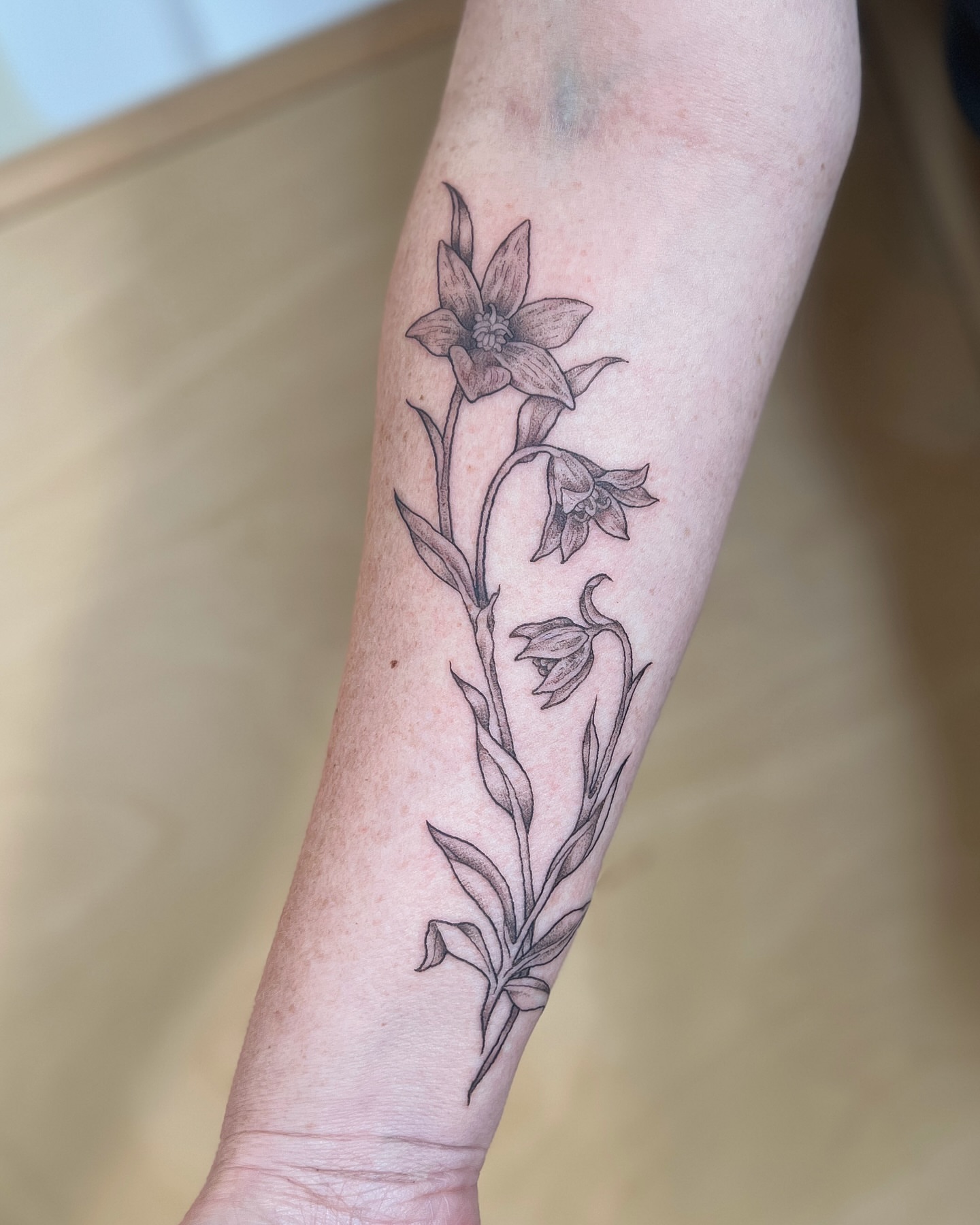Flowers black and grey tattoo on the forearm by Kelsi Hooper, Seattle, Washington