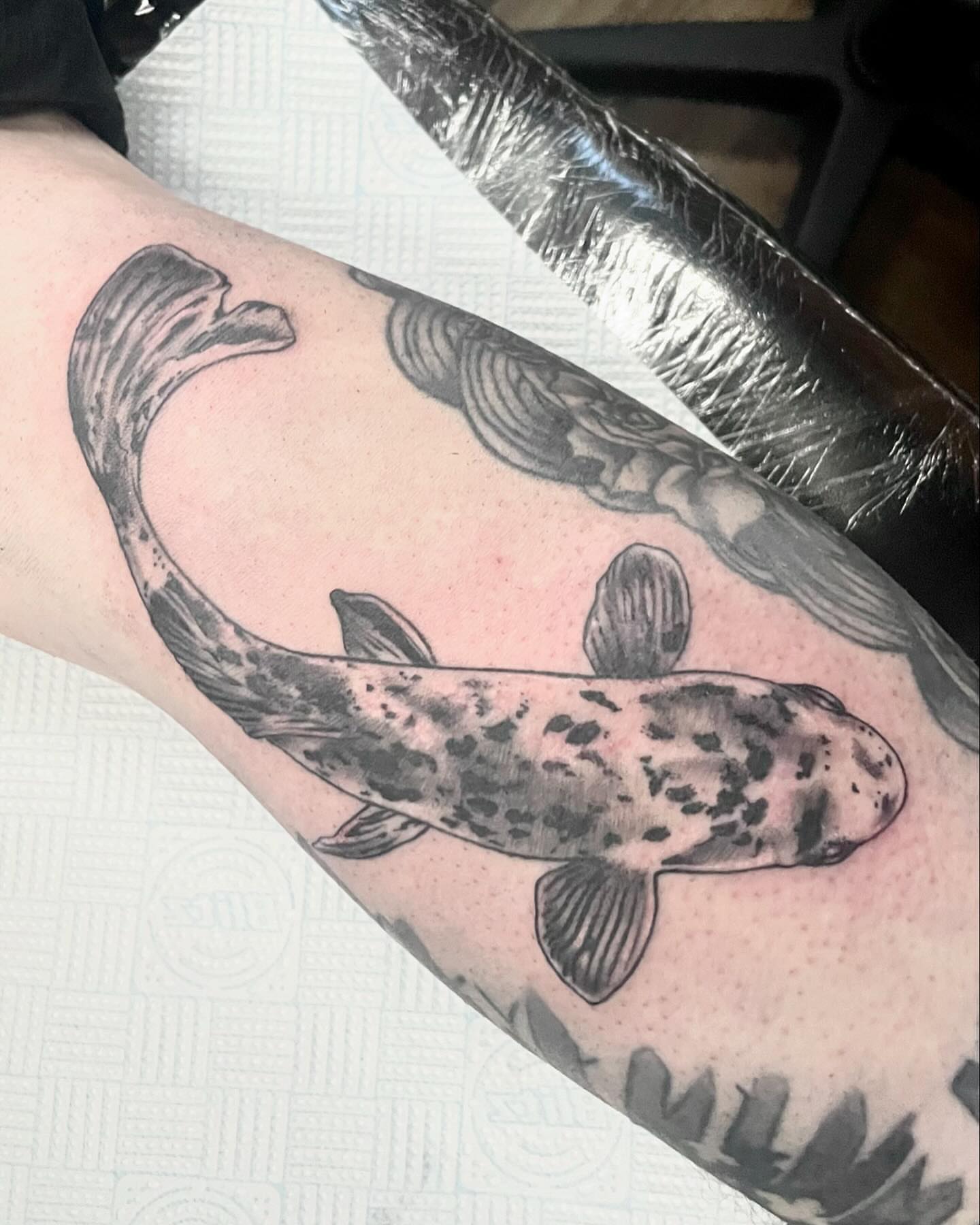 Koi fish black and grey tattoo on the forearm by Grace derby tattooist, Derby